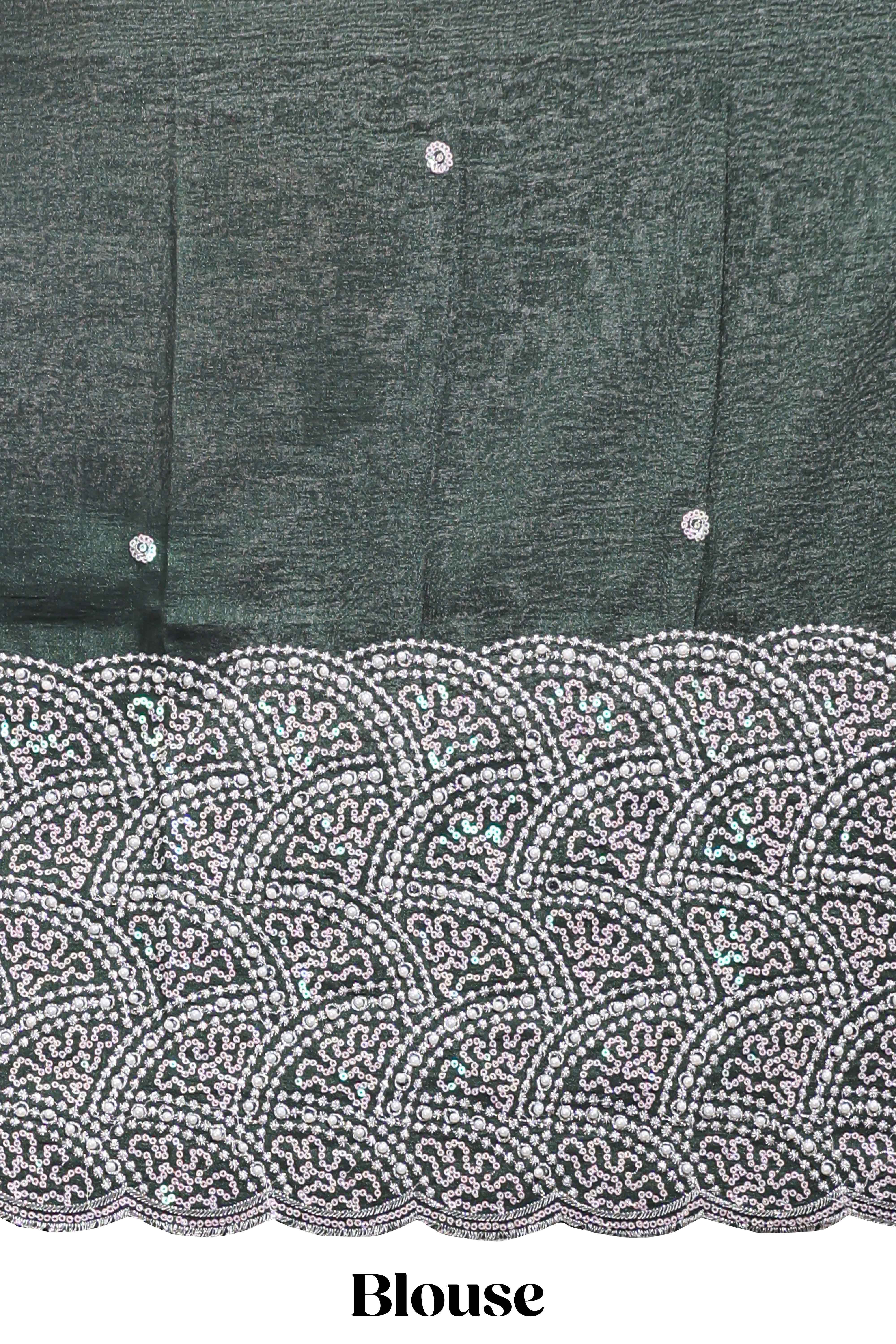 Borderless green plain chiffon saree with contrast embroidery blouse