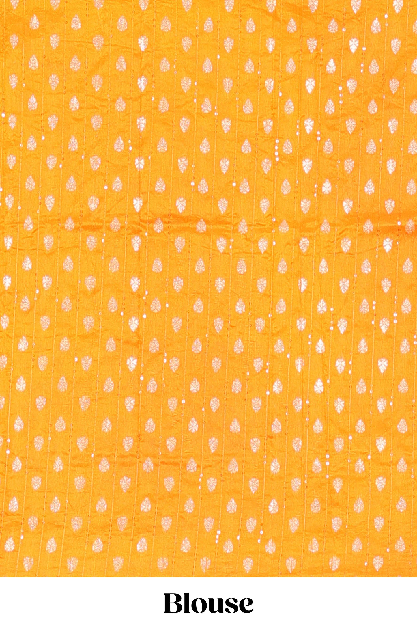 Green moss chiffon saree featuring bandhani design, zari border, contrast blouse and printed pallu