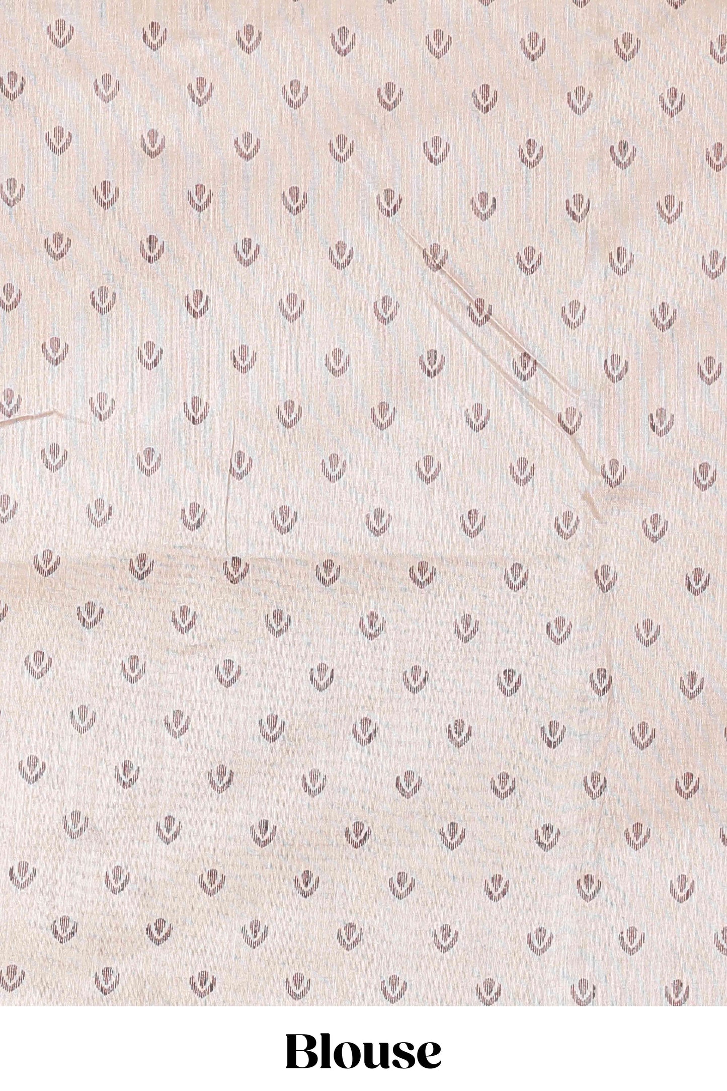 Orange chanderi Cotton Saree with Mughal Paisley Print and Medallion Pallu