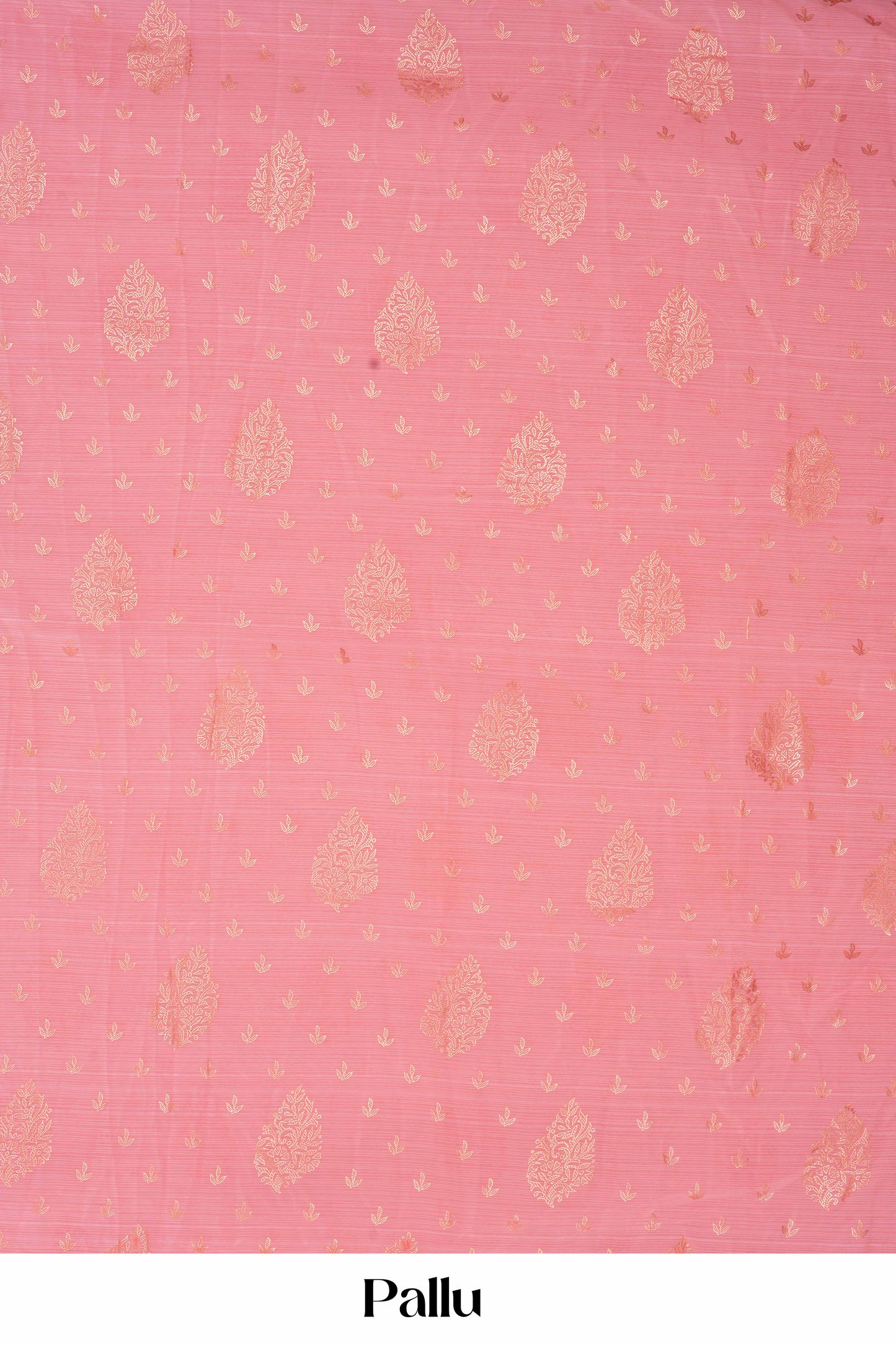 Chiffon Sarees