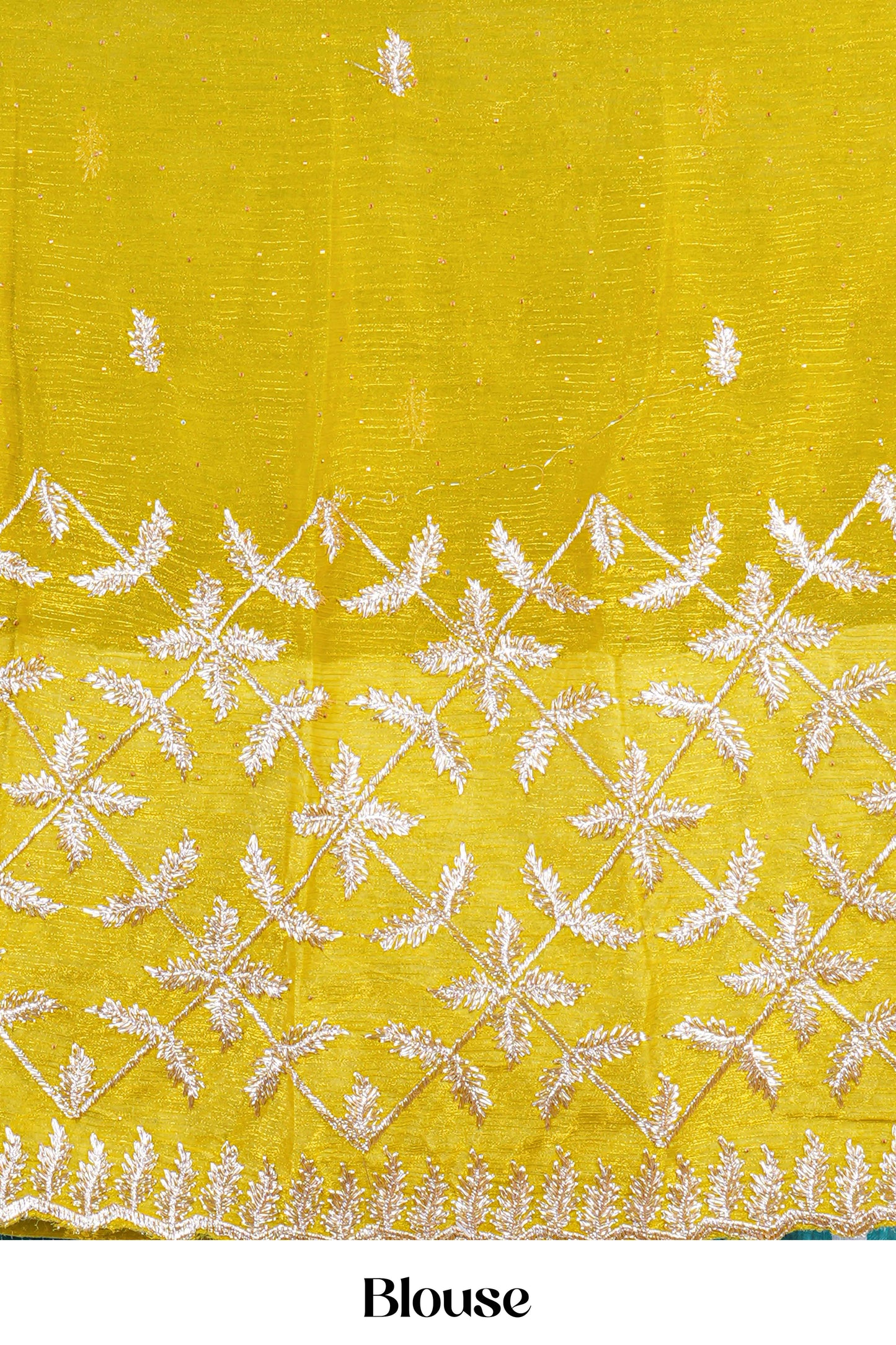 Fendi Chiffon Sarees