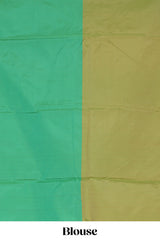 Borderless green dual tone striped design arani gift saree with self pallu and matching blouse