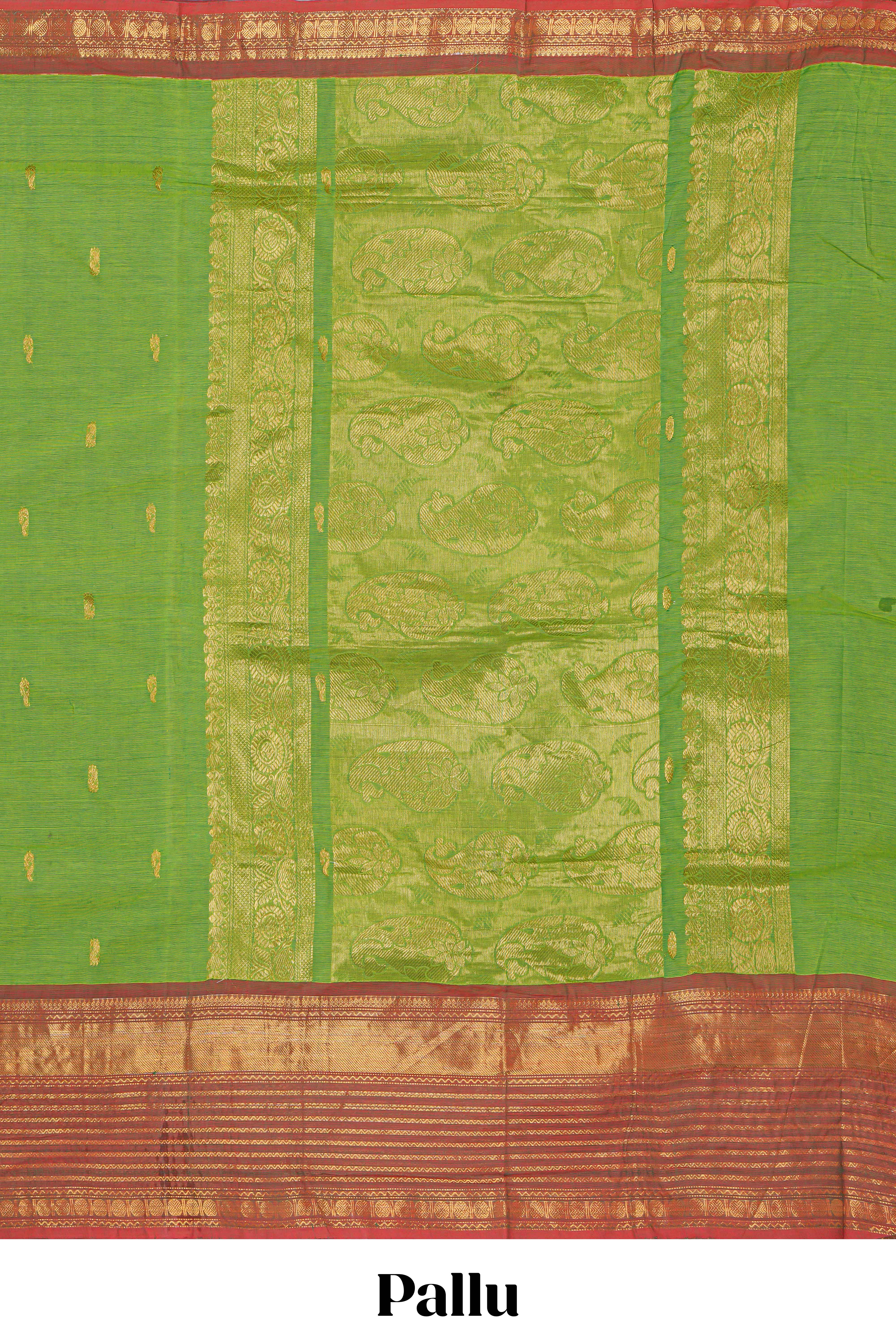 Parrotgreen colour chettinad cotton saree all over thread butta with contrast border and matching pallu along with blouse