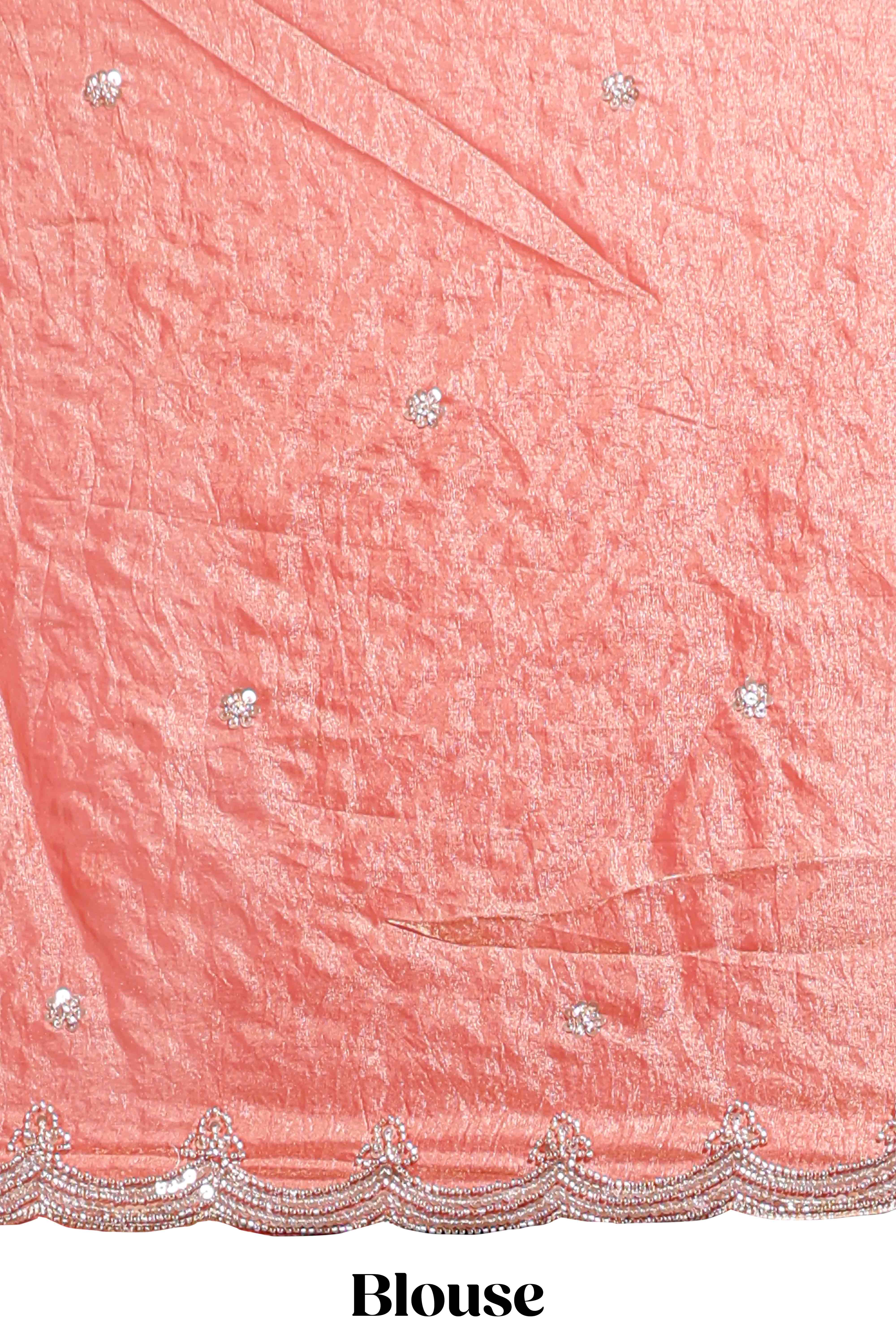 Coral pink saree with elegant silver sequin diamond embroidery featuring a shimmering border and pallu along with blouse