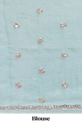 Pastel blue saree with silver sequin wavy line embroidery floral motifs and a sparkling embellished border along with matching blouse