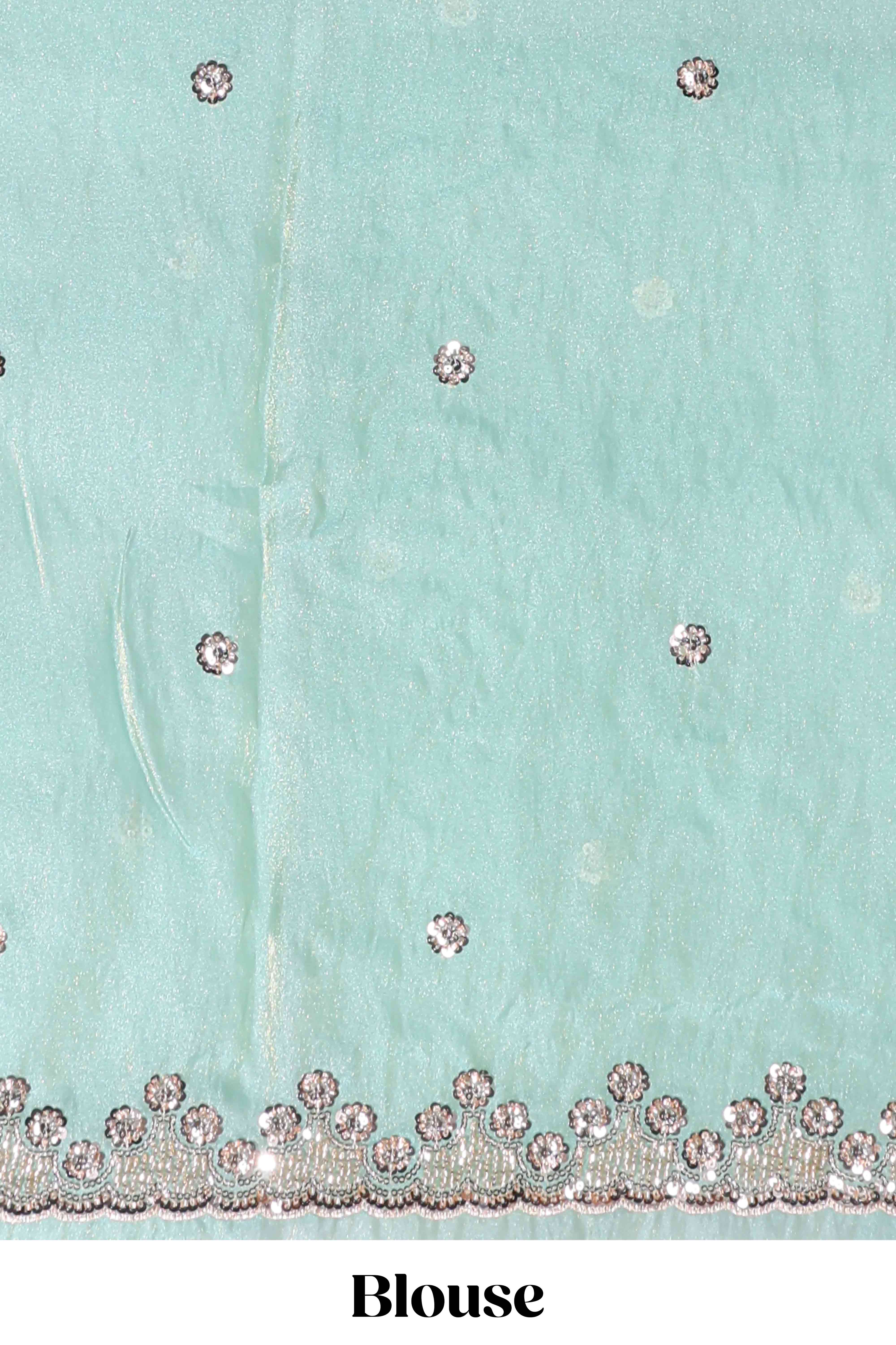 Mint green saree with silver sequin abstract wave embroidery and a detailed embellished border along with work blouse