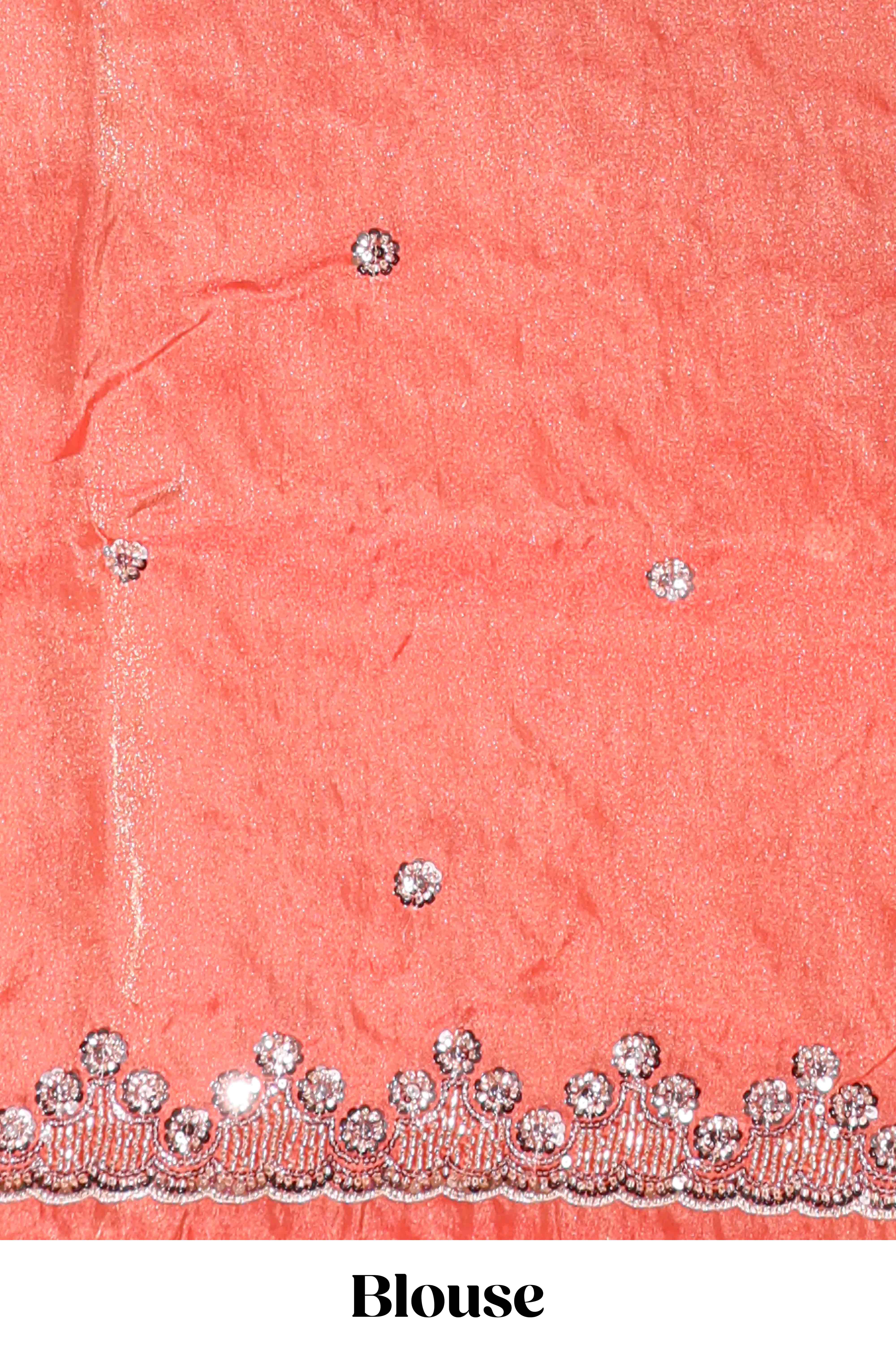 Dusty orange saree with sequin abstract wave embroidery and a detailed embellished border along with matching blouse