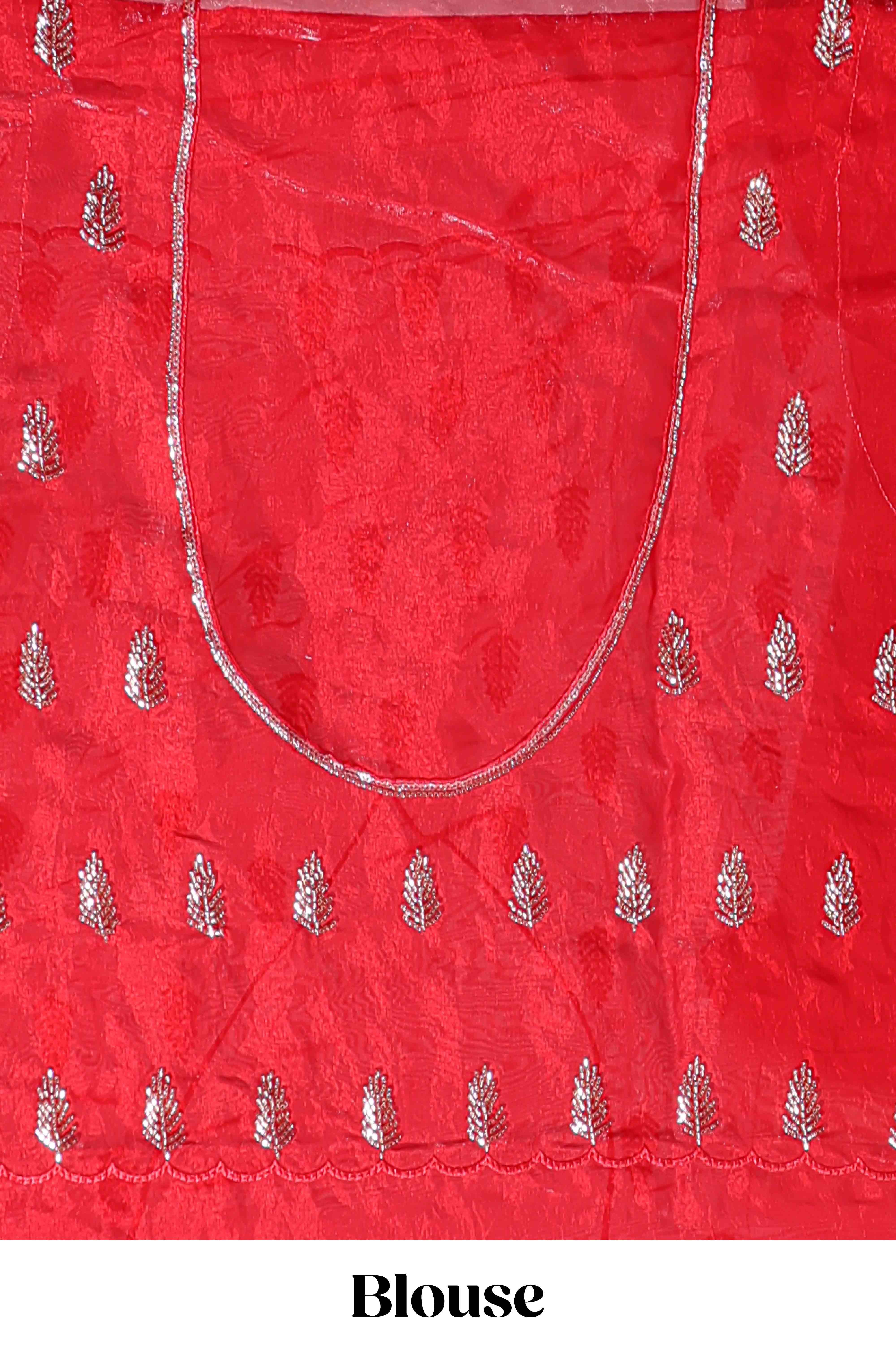 Bright red saree with elegant golden floral embroidery and a rich embellished border along with matching blouse