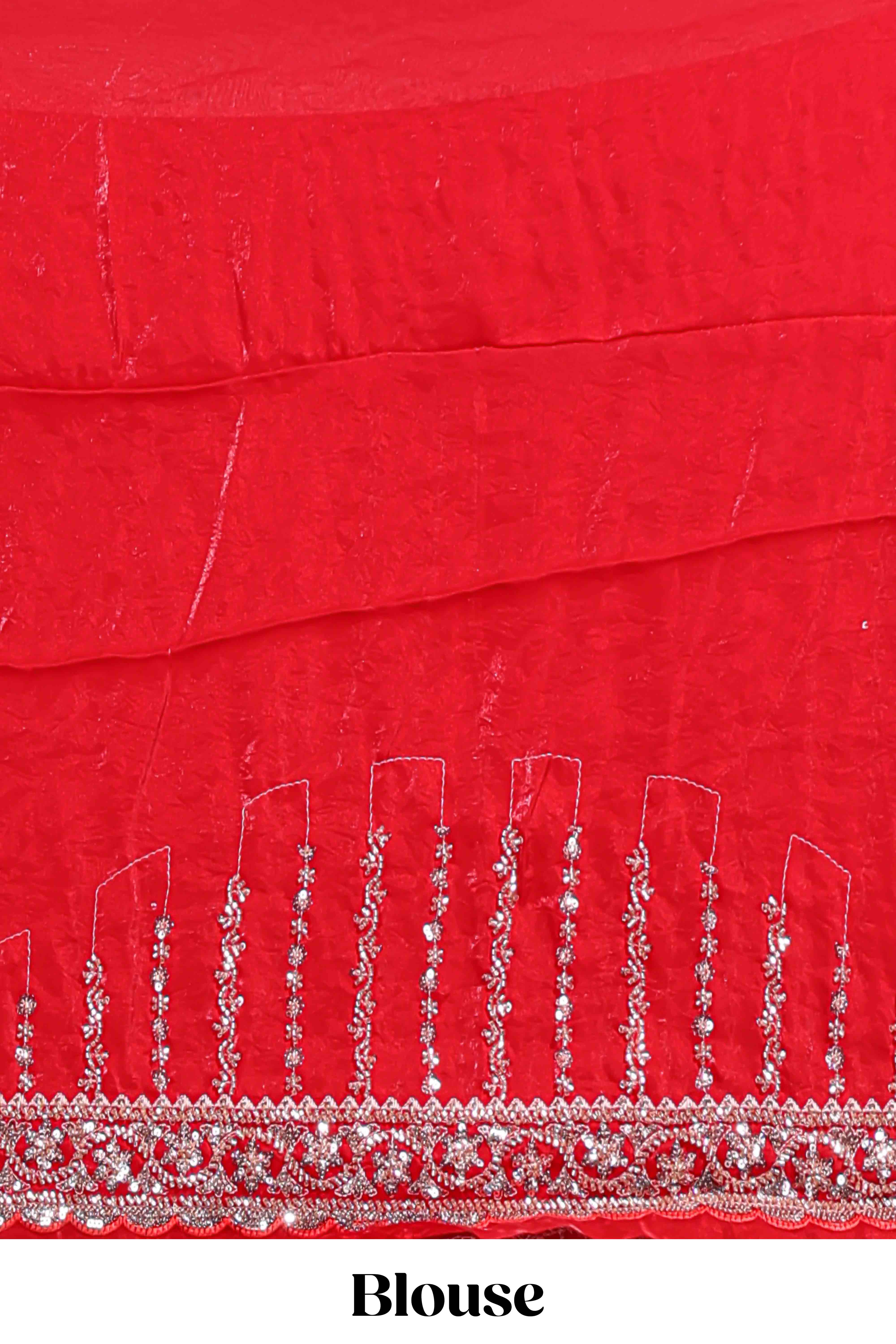 Red saree with silver sequin stripes embellished border and matching designer pallu along with blouse