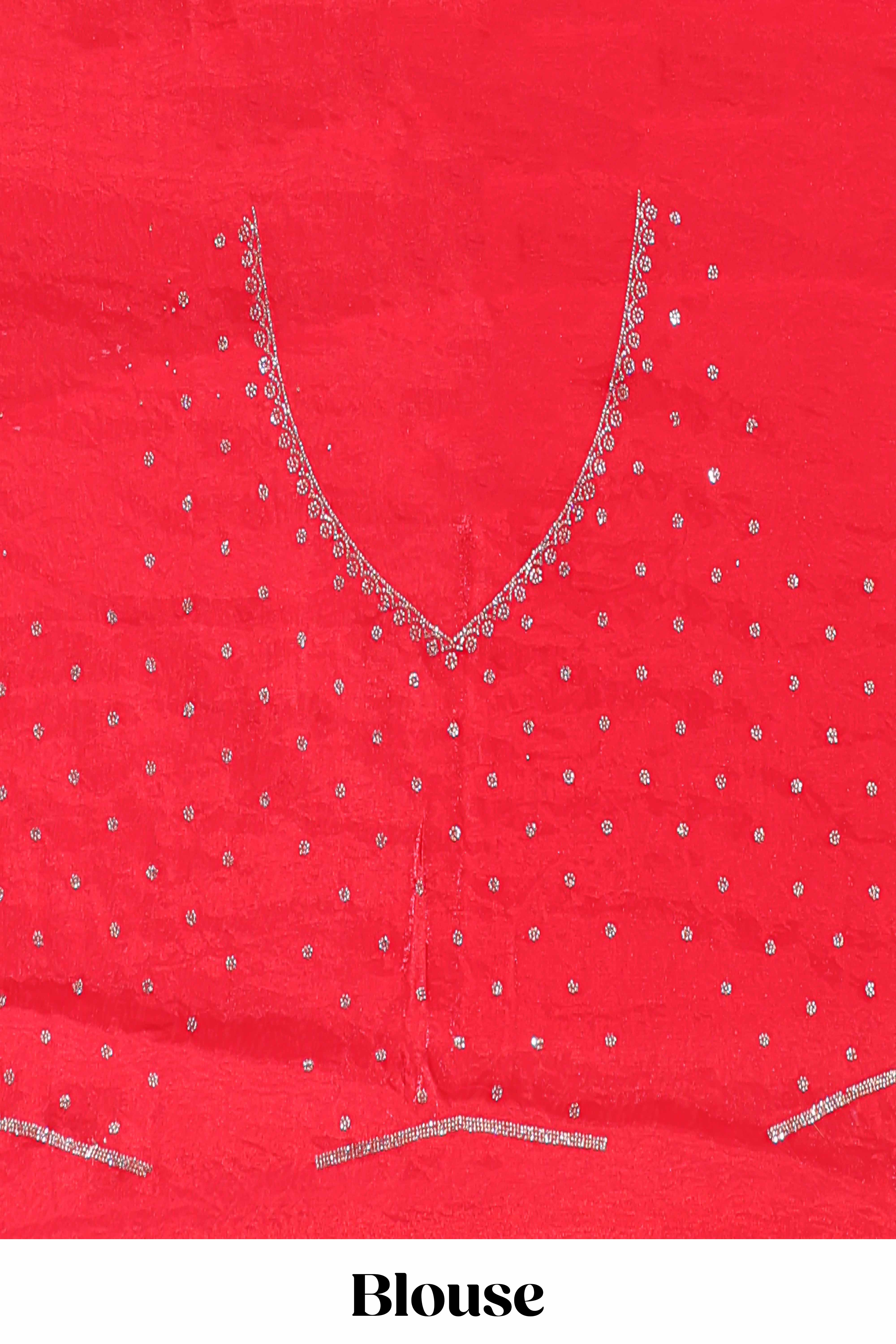 Red saree with silver vertical sequin lines floral motifs embellished border and matching pallu detailing along with matching blouse
