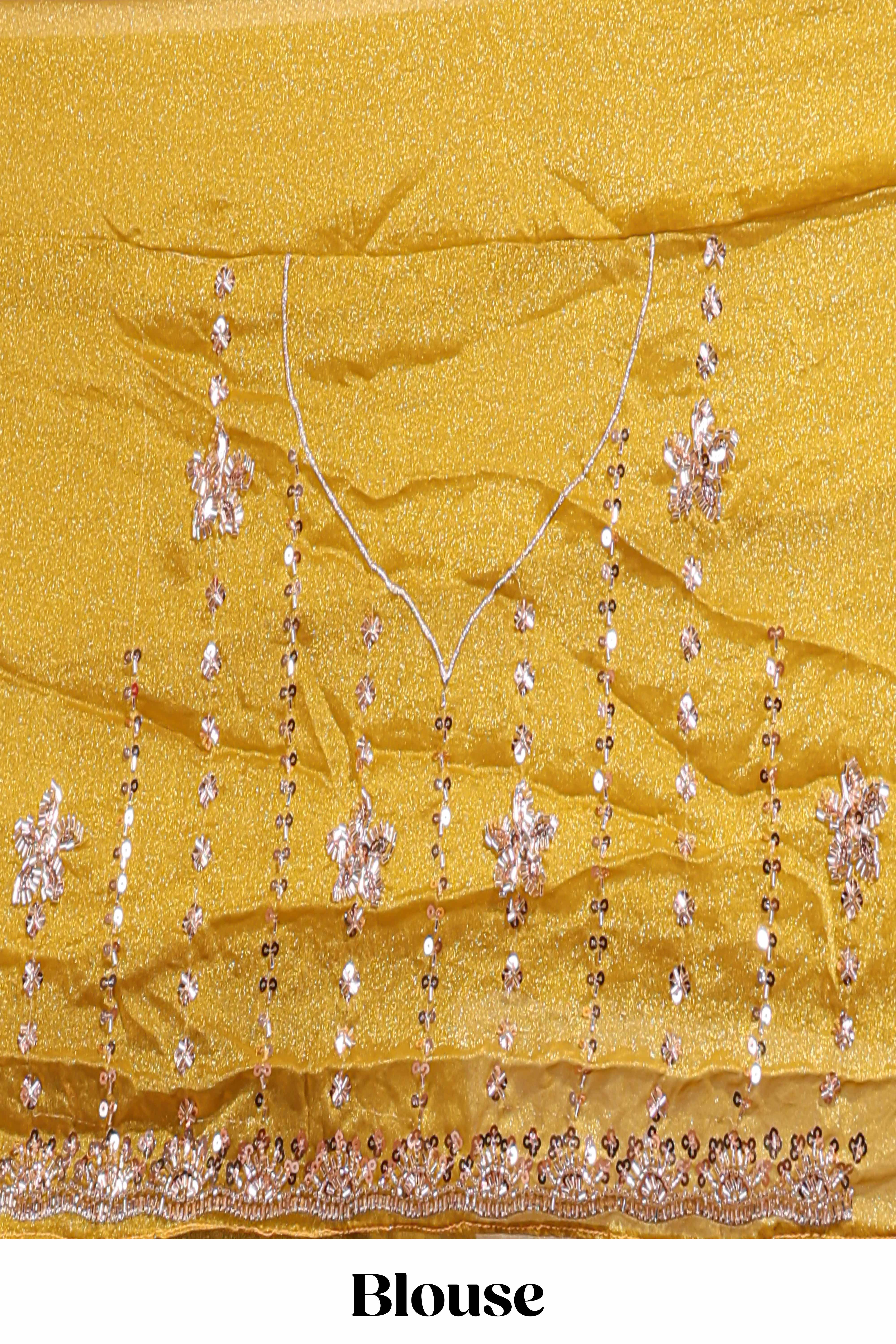 Turmeric yellow saree with silver sequin vertical lines floral motifs embellished border and matching pallu design along with matching blouse