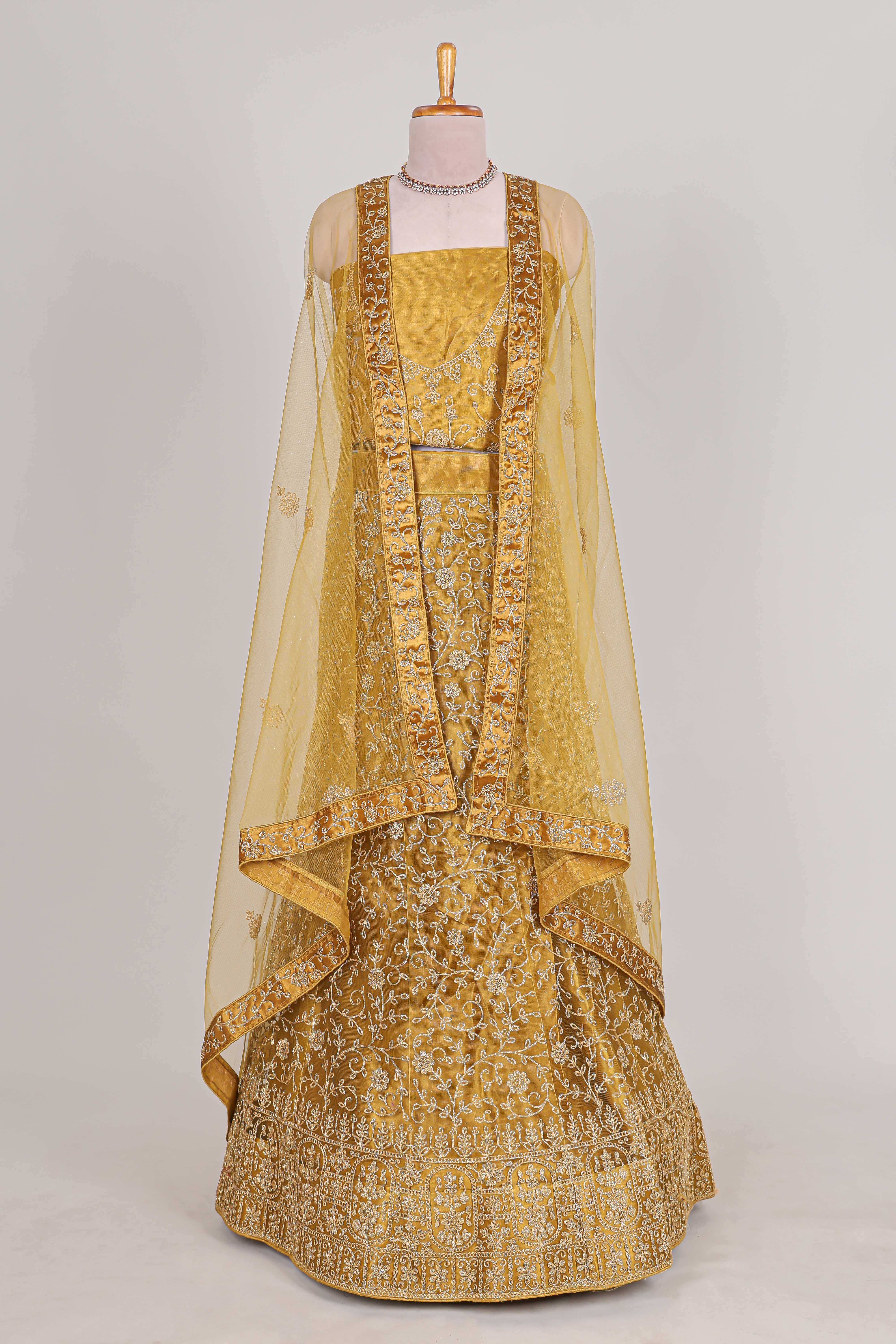 Sandle colour net lehenga featuring delicate embroidery with a borderless design paired with a matching self shawl