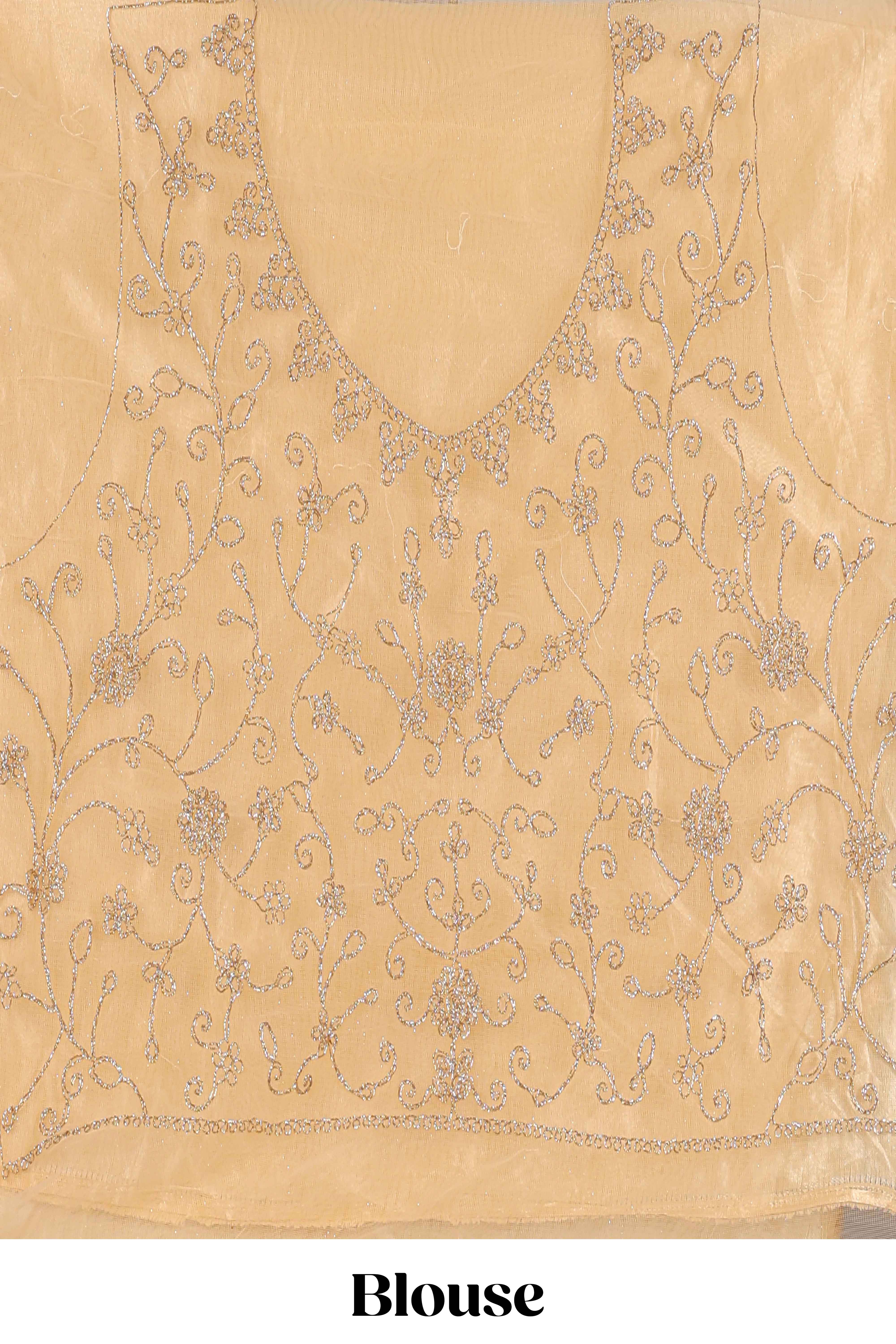 Cream colour net lehenga featuring delicate embroidery with a borderless design paired with a matching self shawl