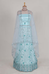 powder blue net lehenga featuring delicate embroidery with a borderless design paired with a matching self shawl