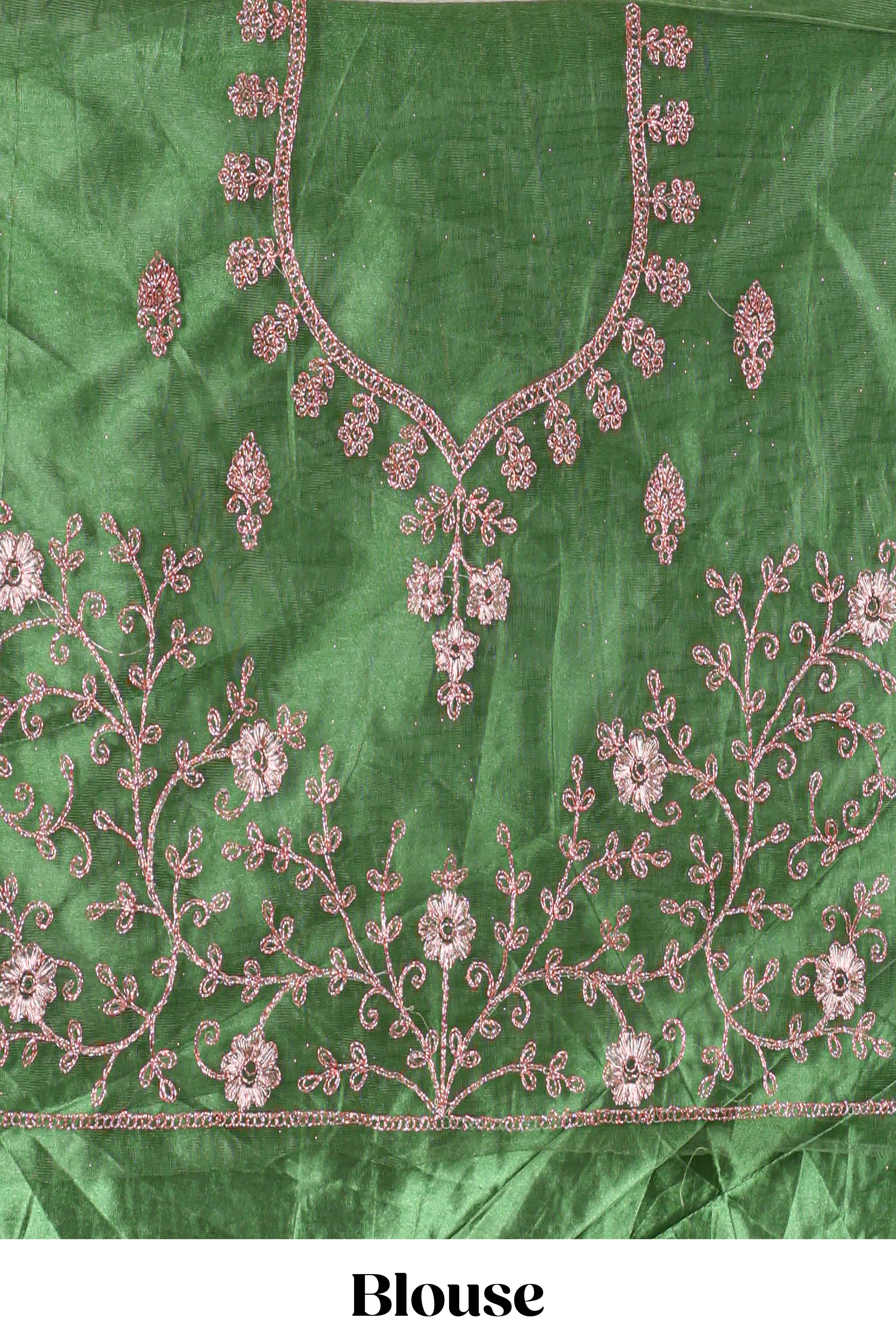 Green and red Beautiful net lehenga with intricate embroidery stone work and contrast border paired with a contrast net shawl