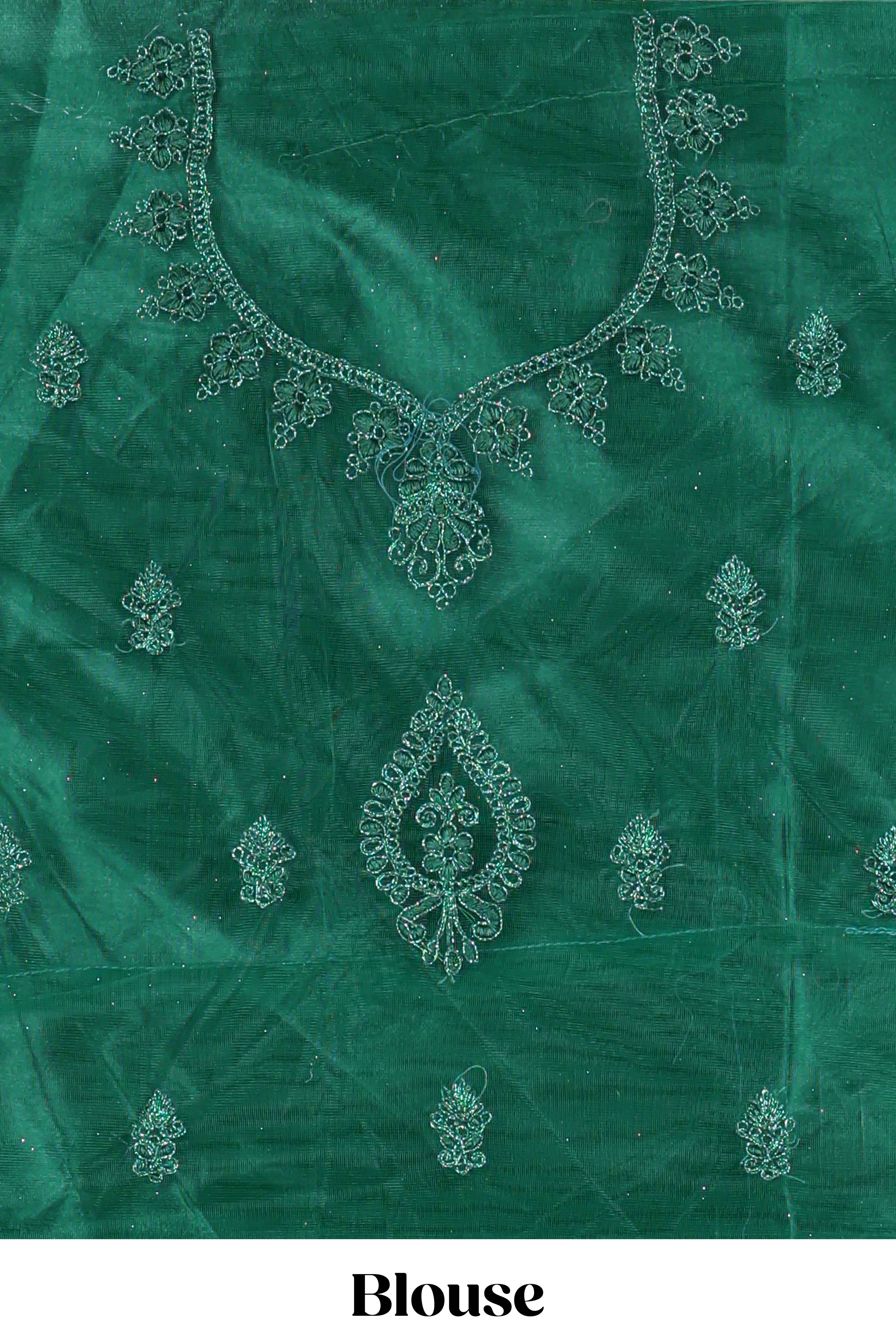 Bottle Green net lehenga featuring delicate embroidery with a borderless design paired with a matching self shawl