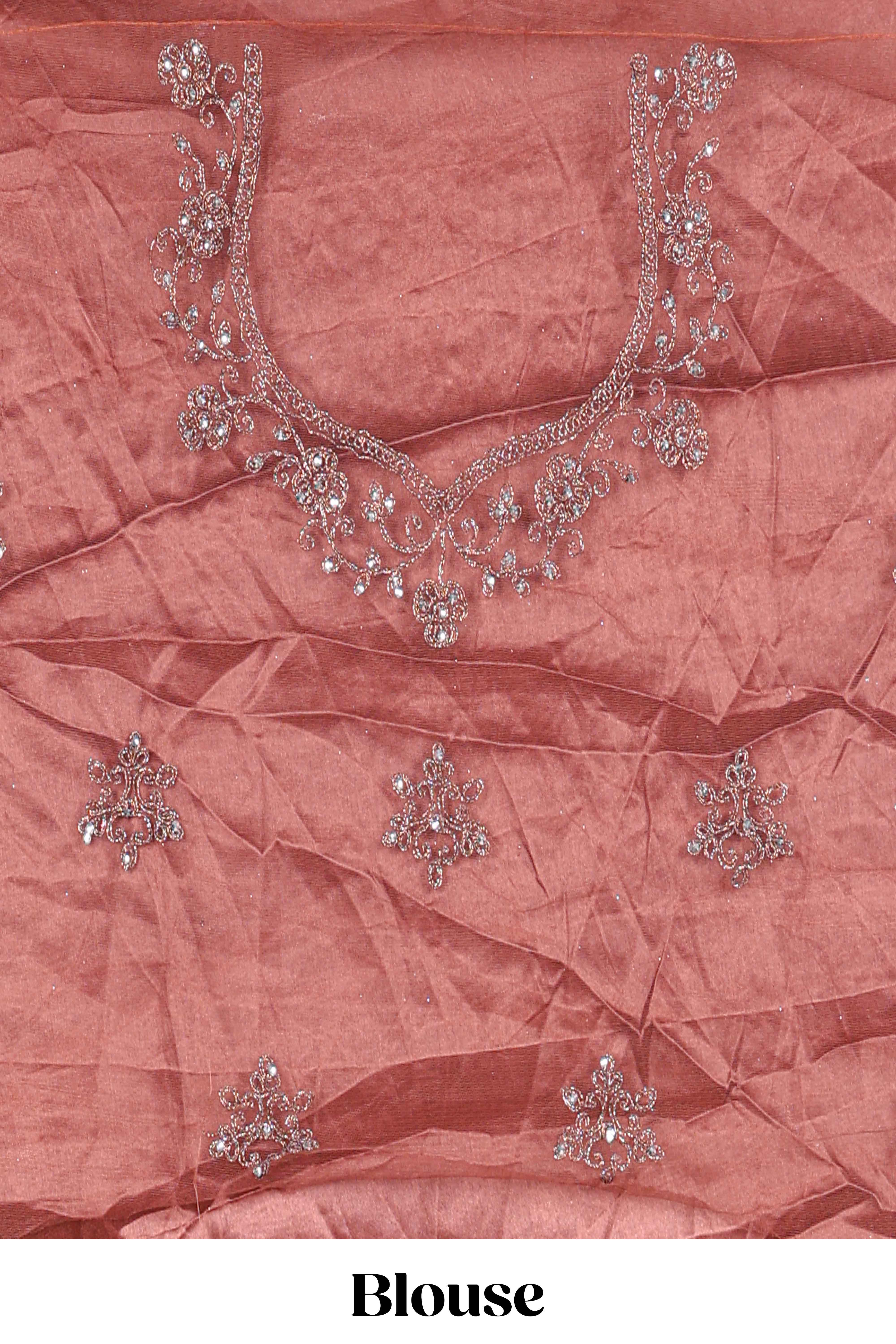 Brown net lehenga intricate embroidery andpaired with a matching embroidered blouse