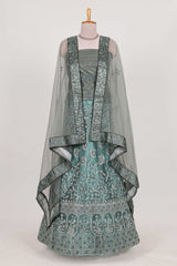 Pastel Sage Green Beautiful net lehenga with intricate embroidery stone work and contrast border paired with a contrast net shawl