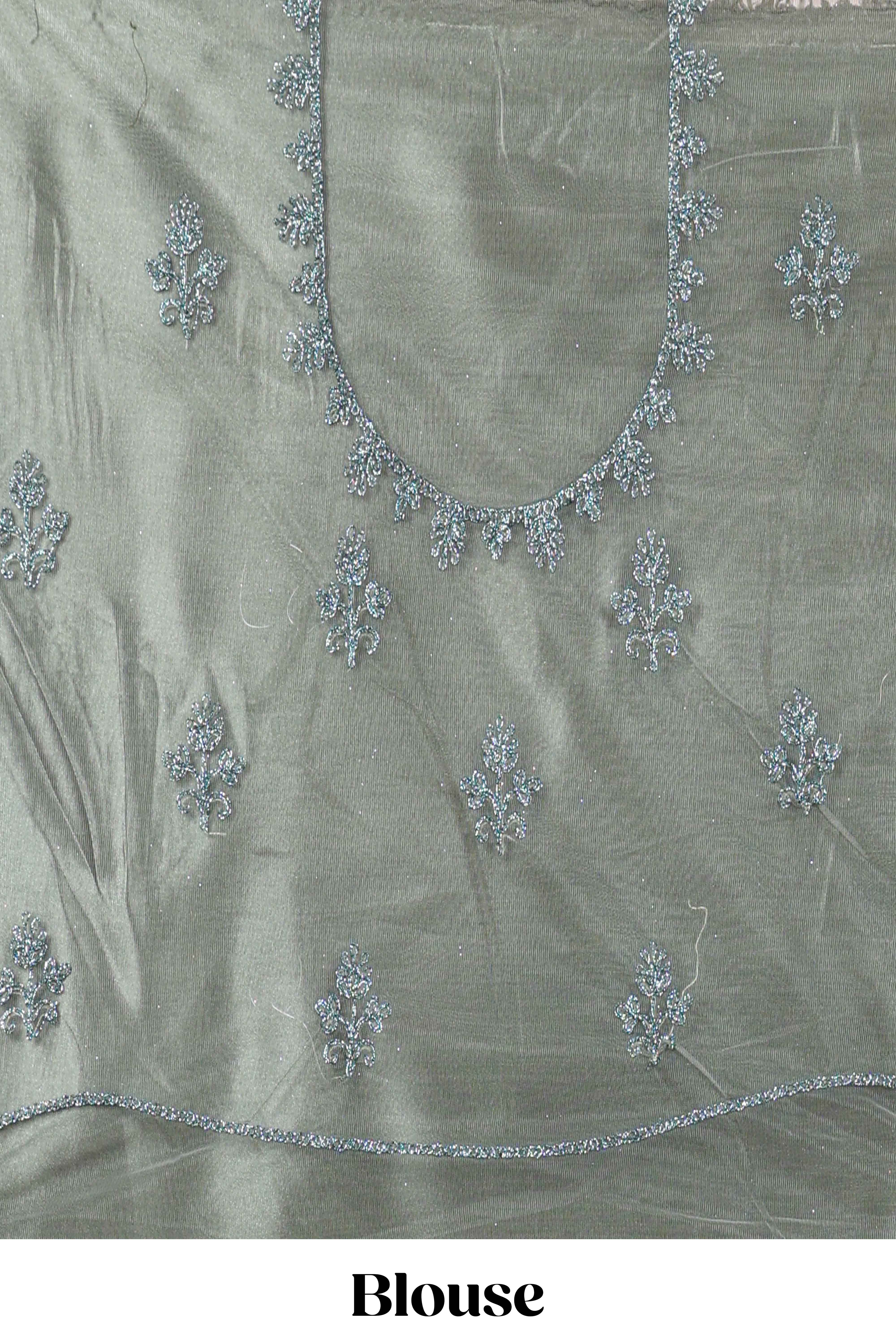 Pastel Sage Green Beautiful net lehenga with intricate embroidery stone work and contrast border paired with a contrast net shawl