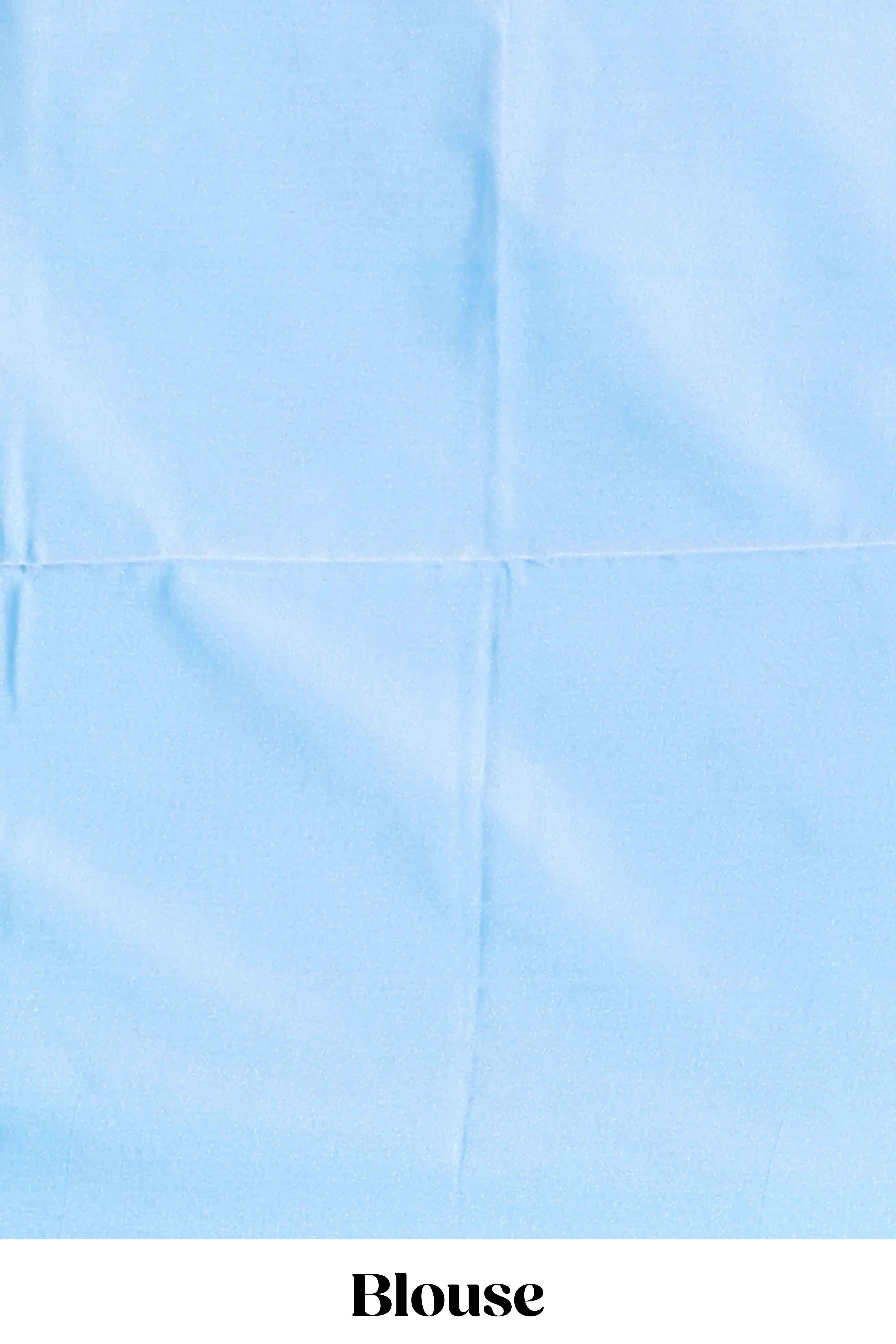 Blue zari motifs design litchi silk saree with contrast zari design border and plain blouse