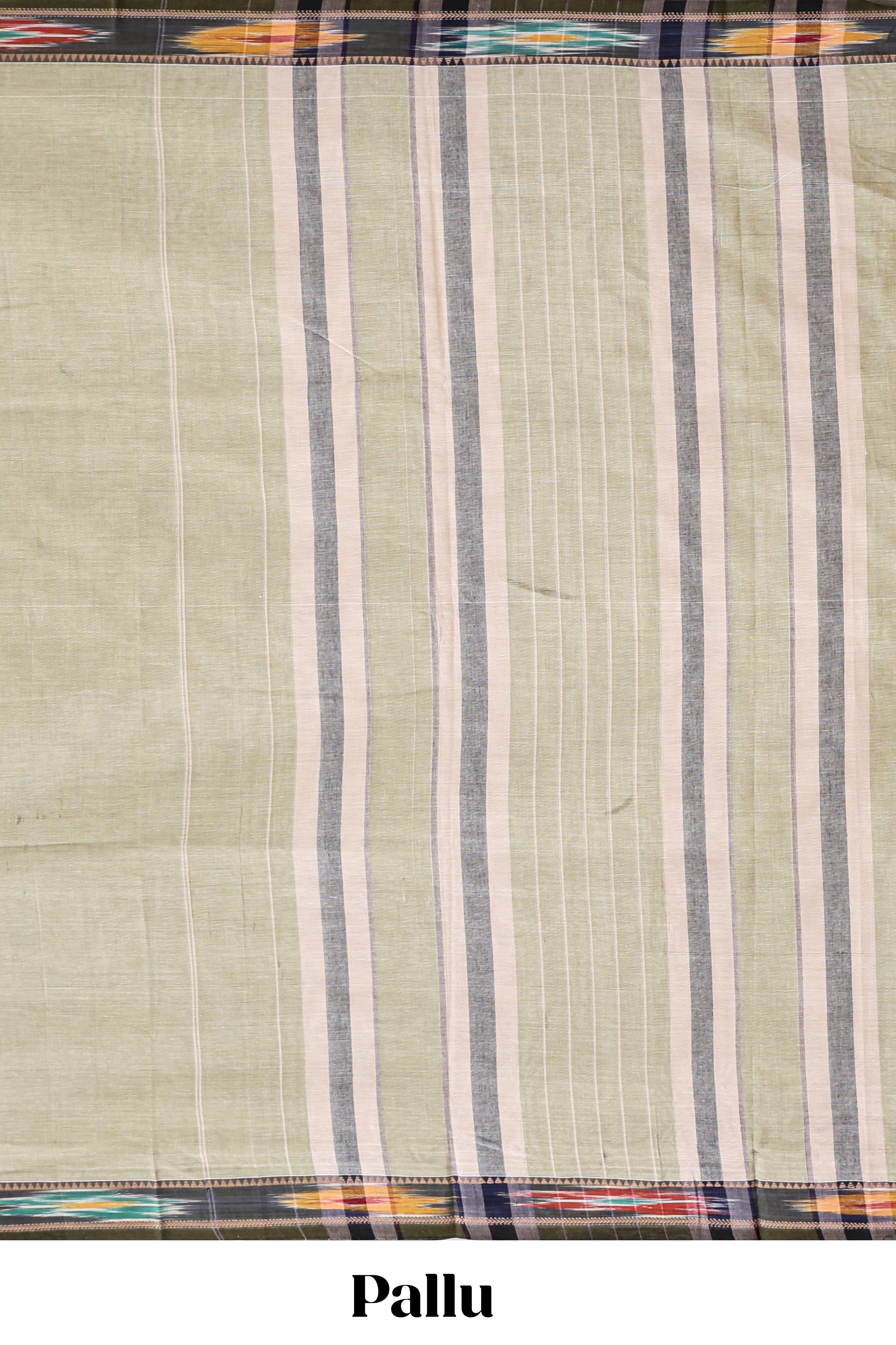 Beige plain narayanapet cotton saree with contrast ikkat style border and matching blouse
