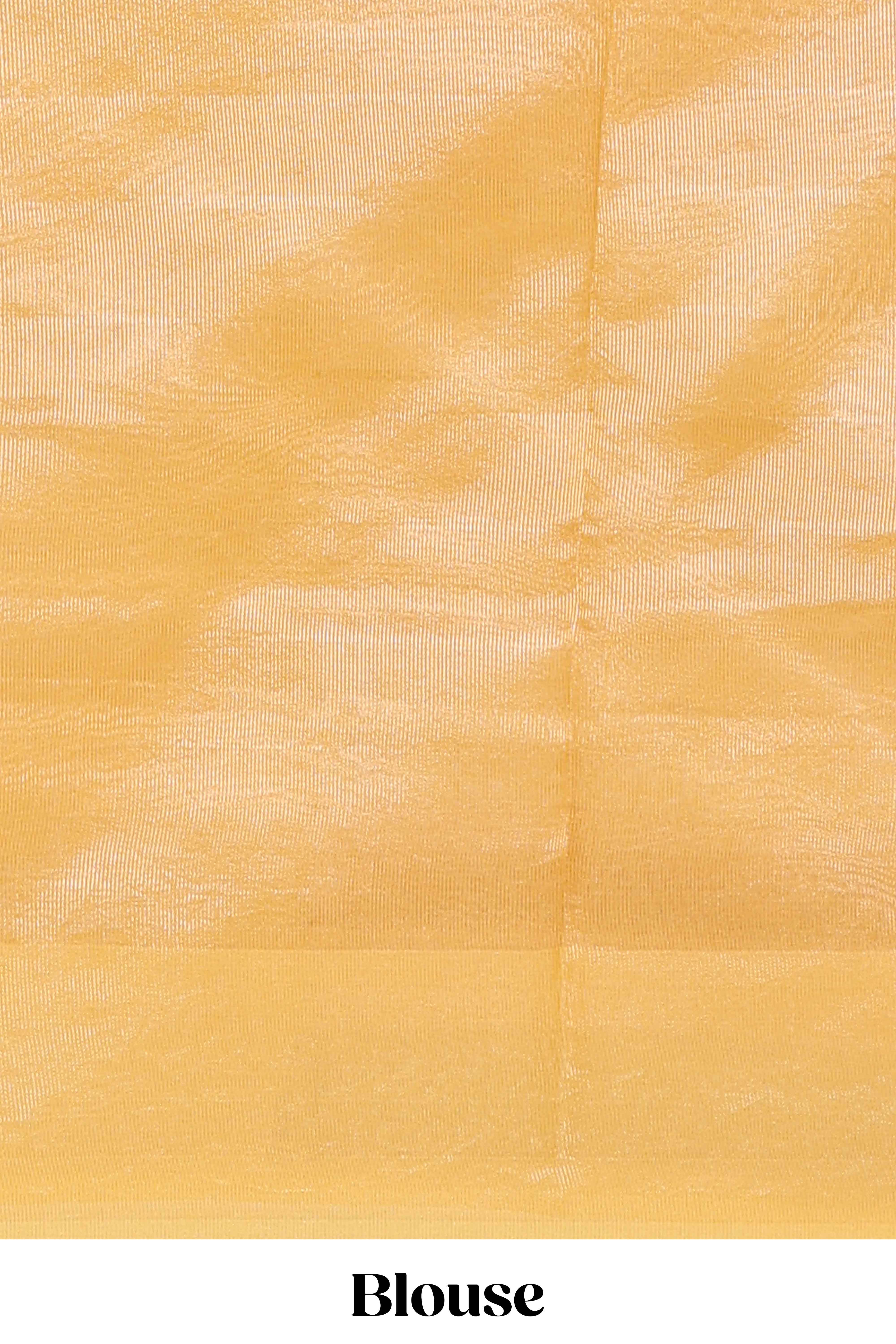 Peach gold striped art tissue saree with floral embroidered border and striped pallu