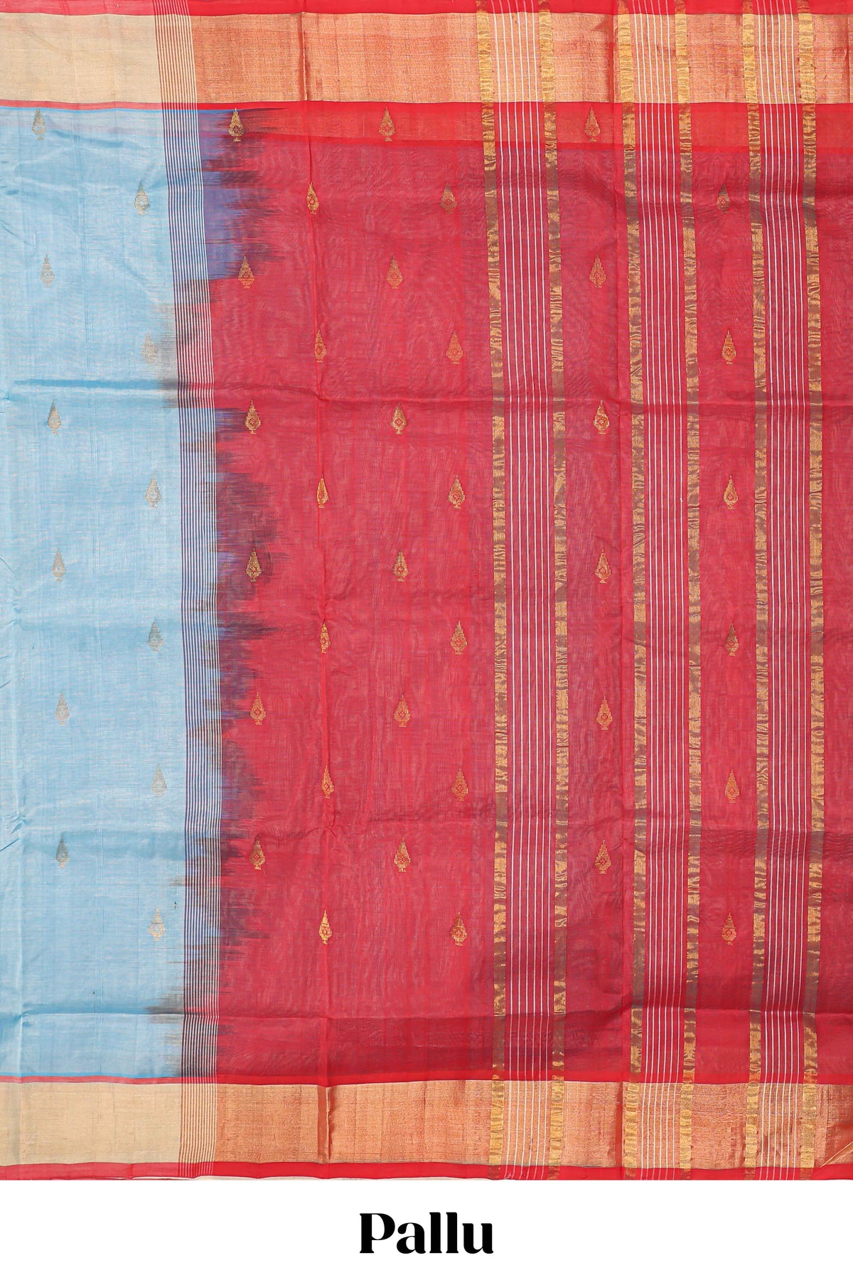 Light blue butta designed silk cotton saree with contrast zari border and blouse