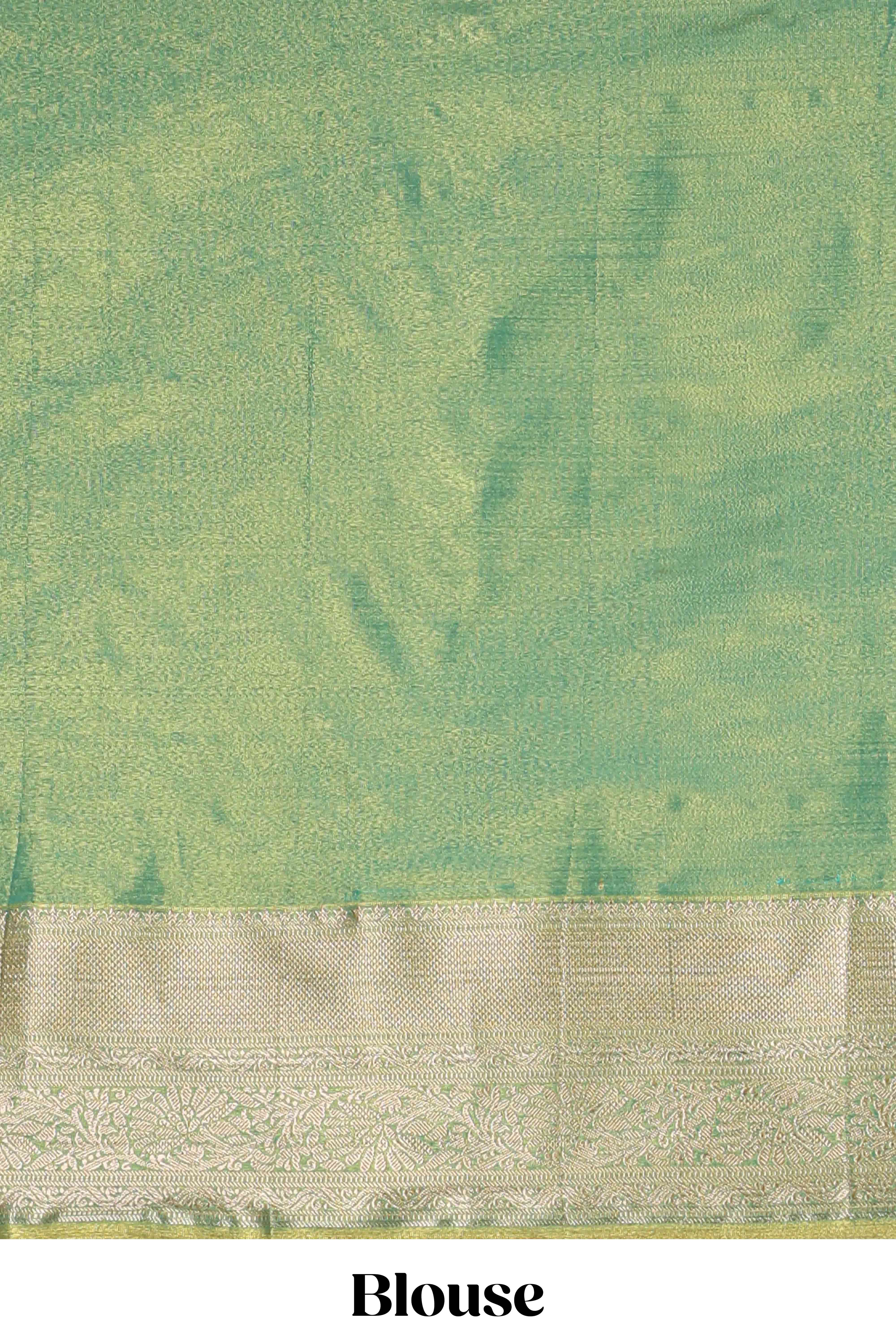 Pastel Green Tissue Silk Saree with Zari Weaving and PastelFloral Accents along with Matching Blouse