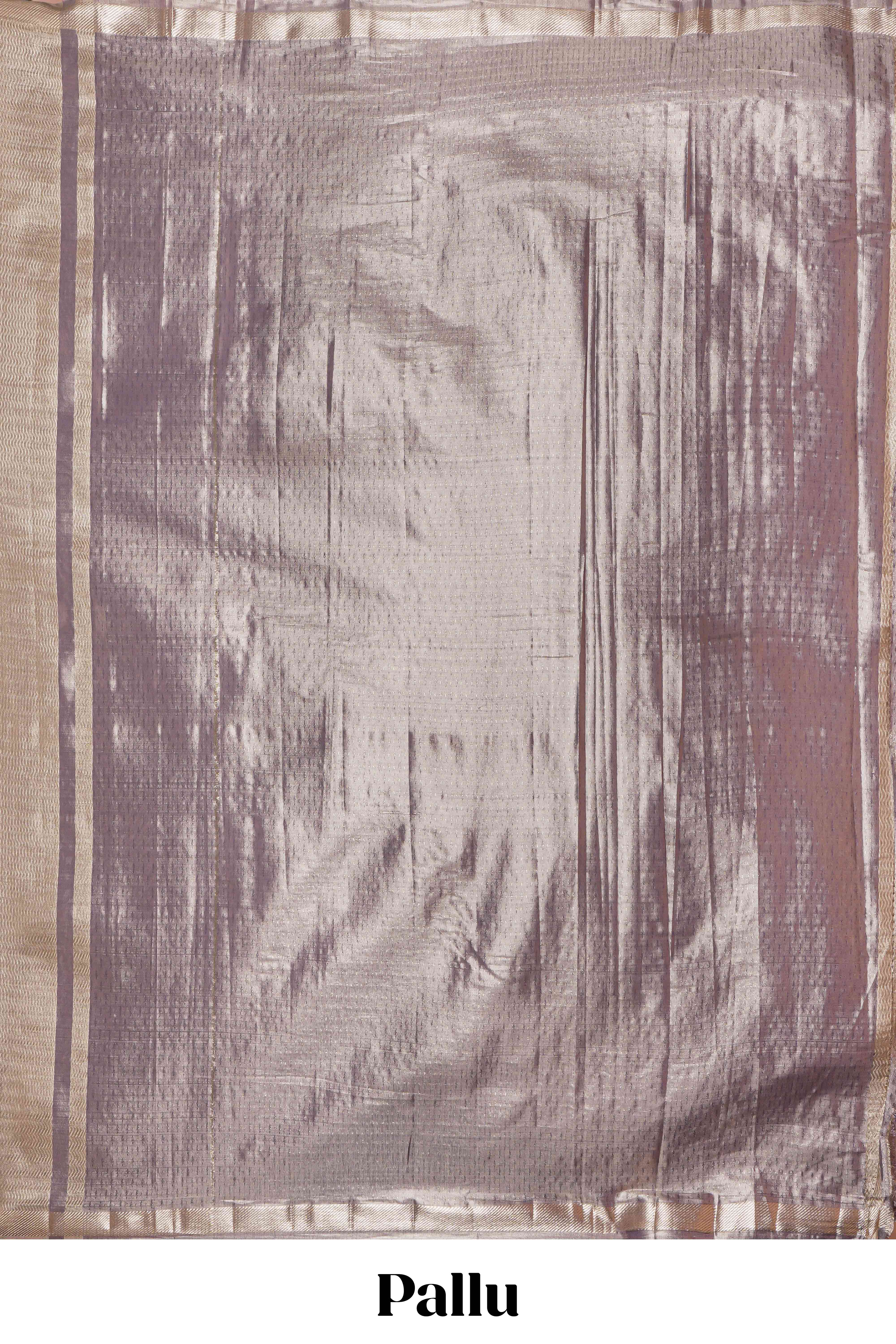 Grey floral design tissue saree with self zari border and matching blouse