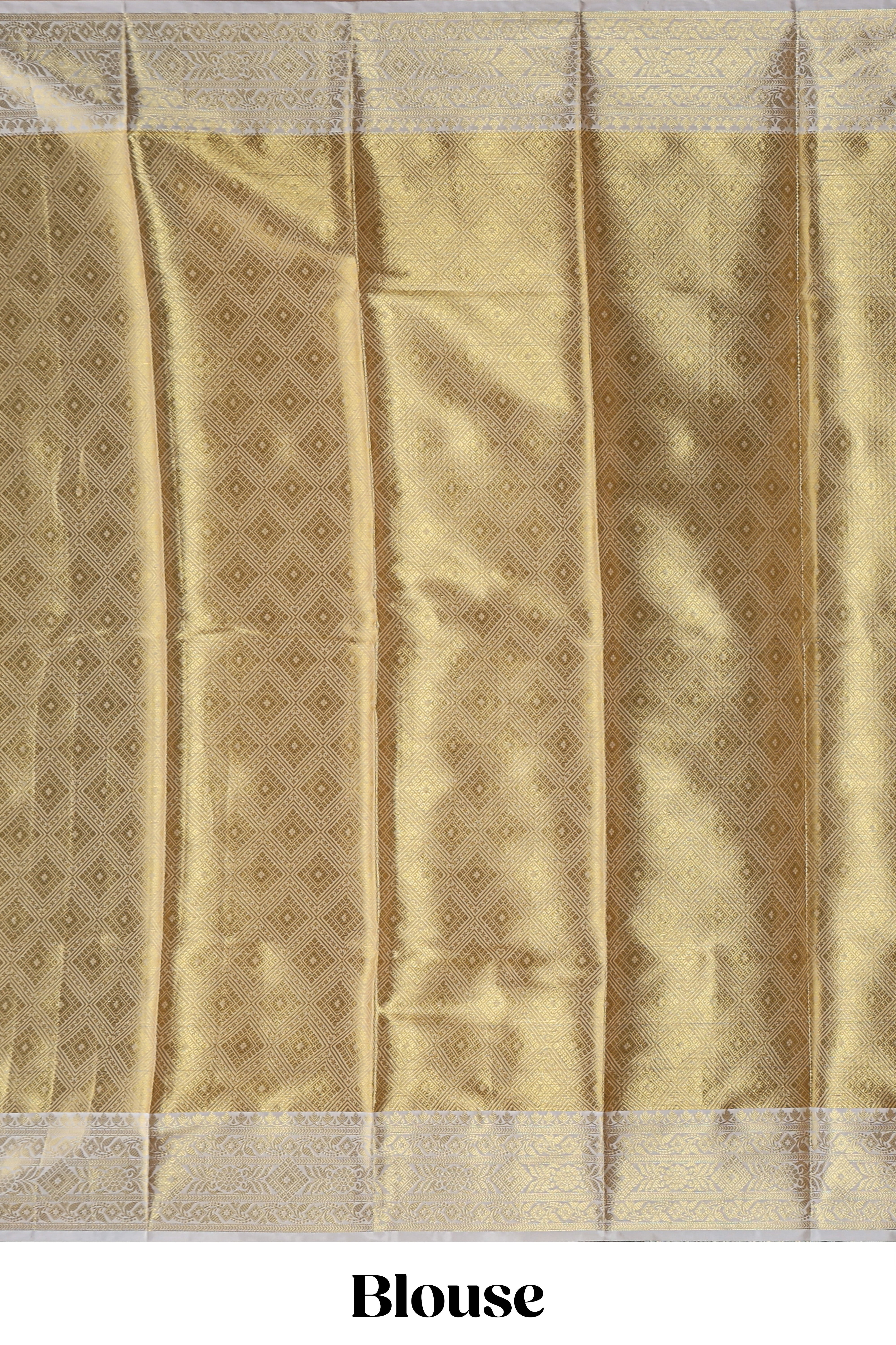 Blue zari design art tissue saree with self zari border and contrast motifs blouse