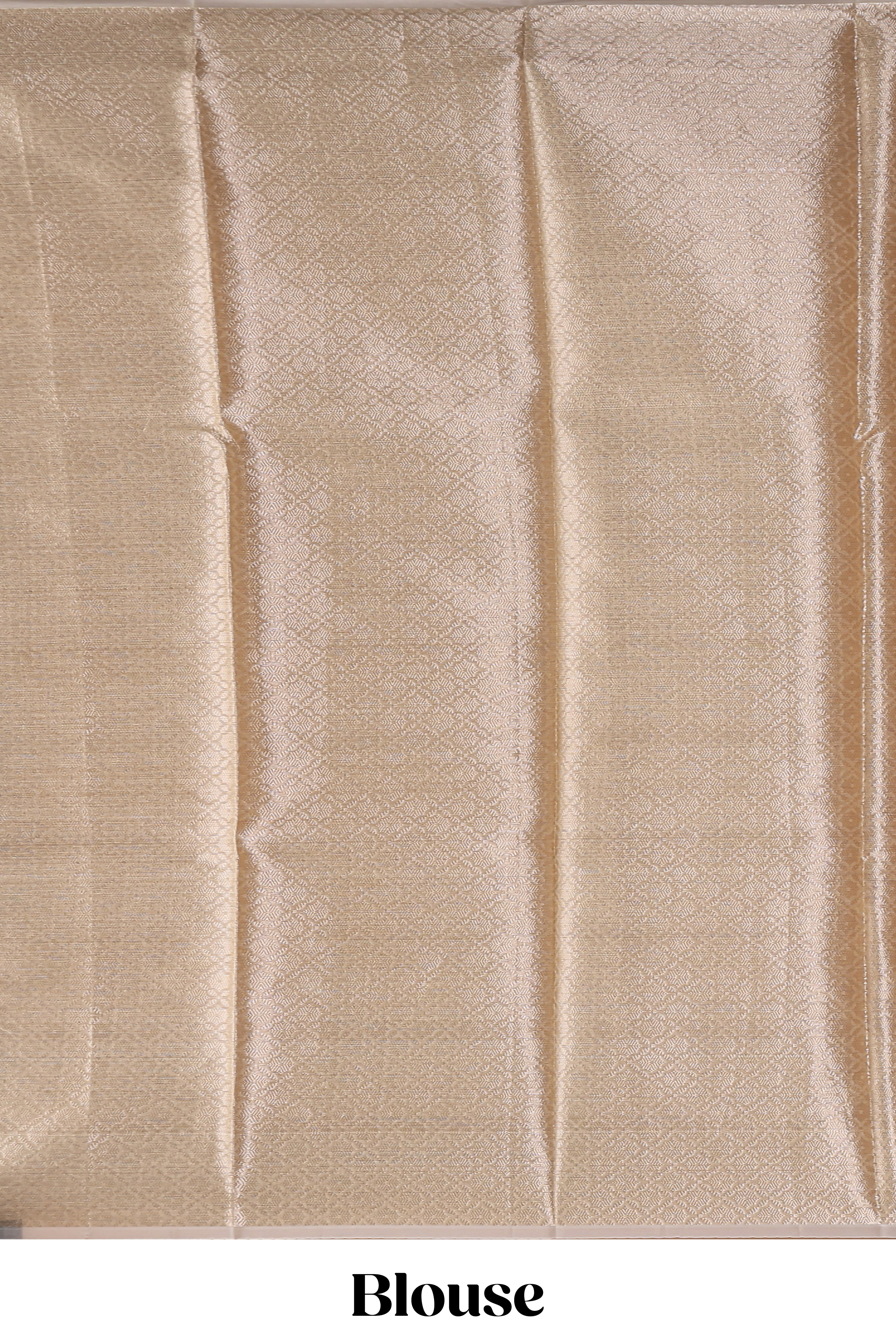Beige chevron design art tissue saree with self zari border and matching printed blouse