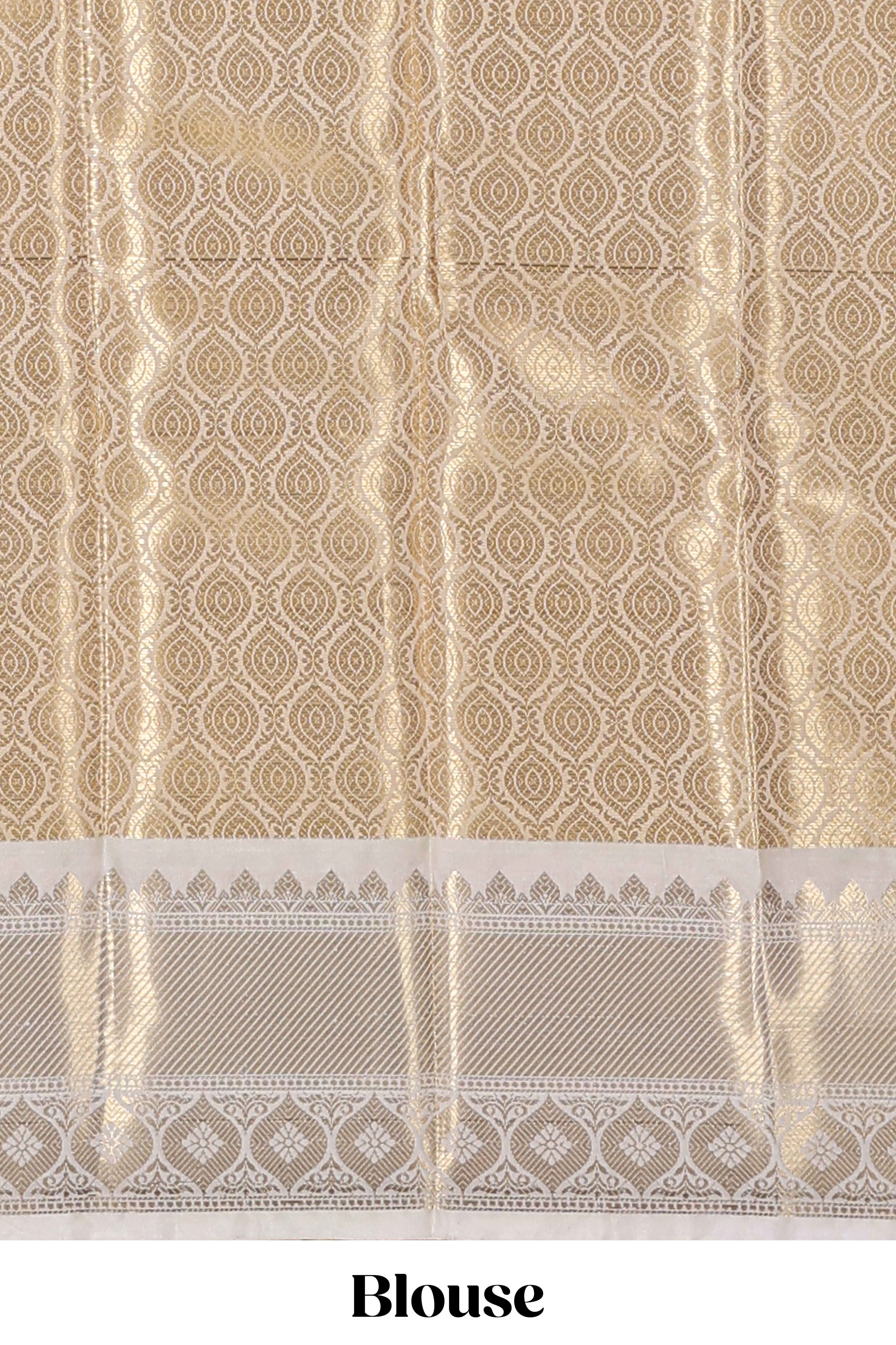 Blue unique design zari motifs art tissue saree with contrast border and blouse