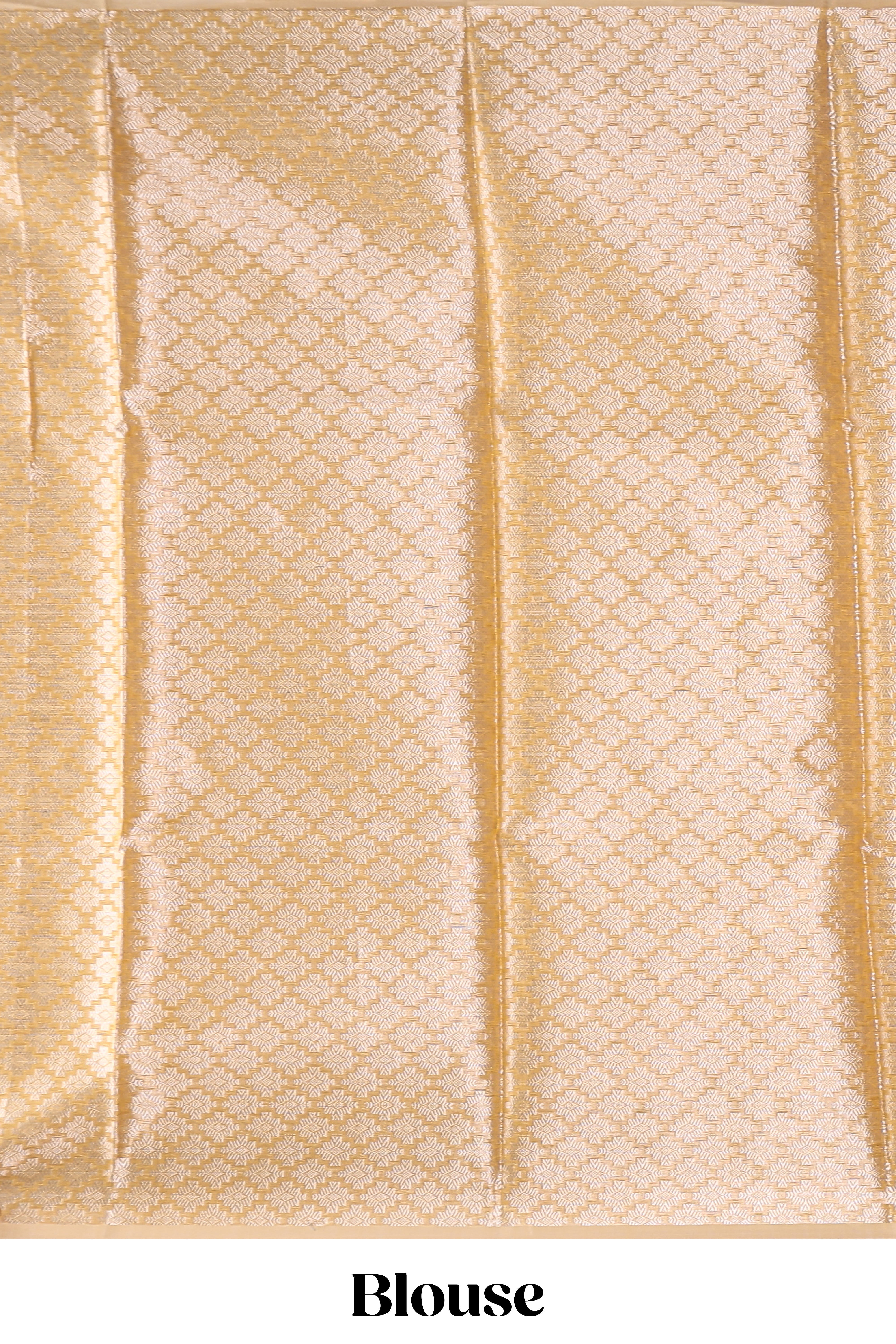 Sandal color floral design art tissue saree with self zari border and zari work blouse