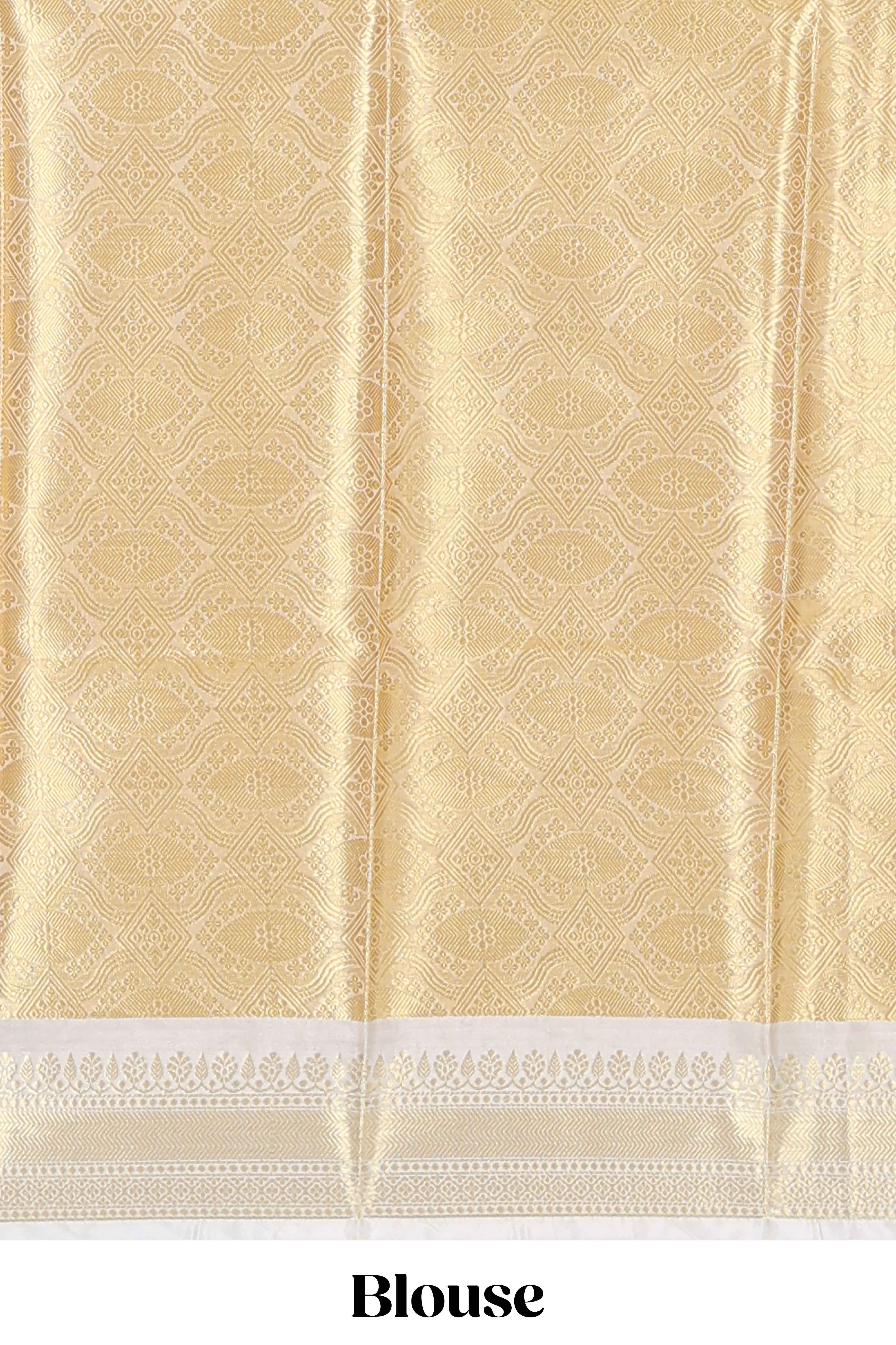 Blue zari design art tissue saree with self zari border and contrast blouse