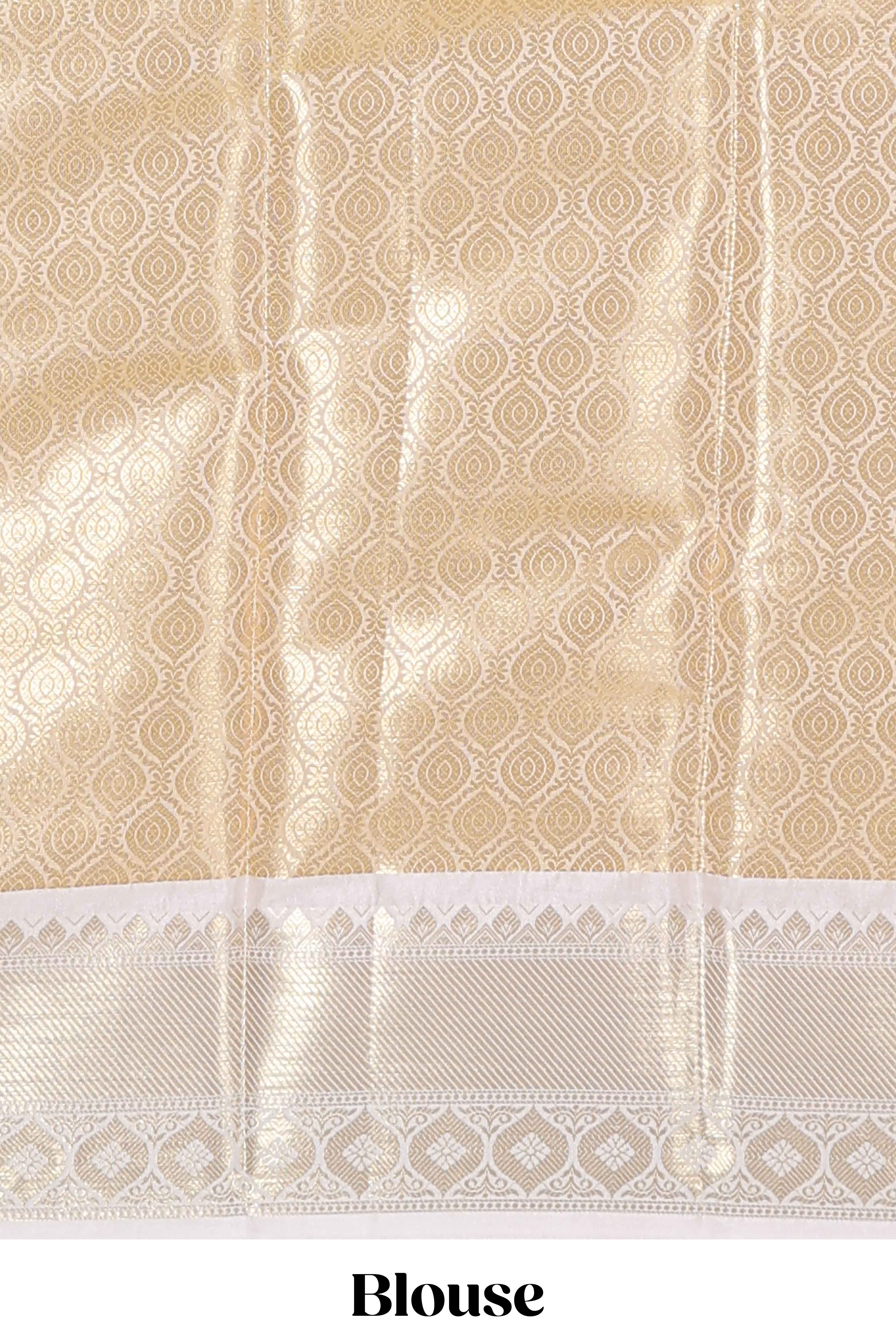 Rust orange zari design art tissue saree with contrast zari border and motifs blouse