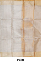 Grey zari design art tissue saree with contrast border and zari design blouse