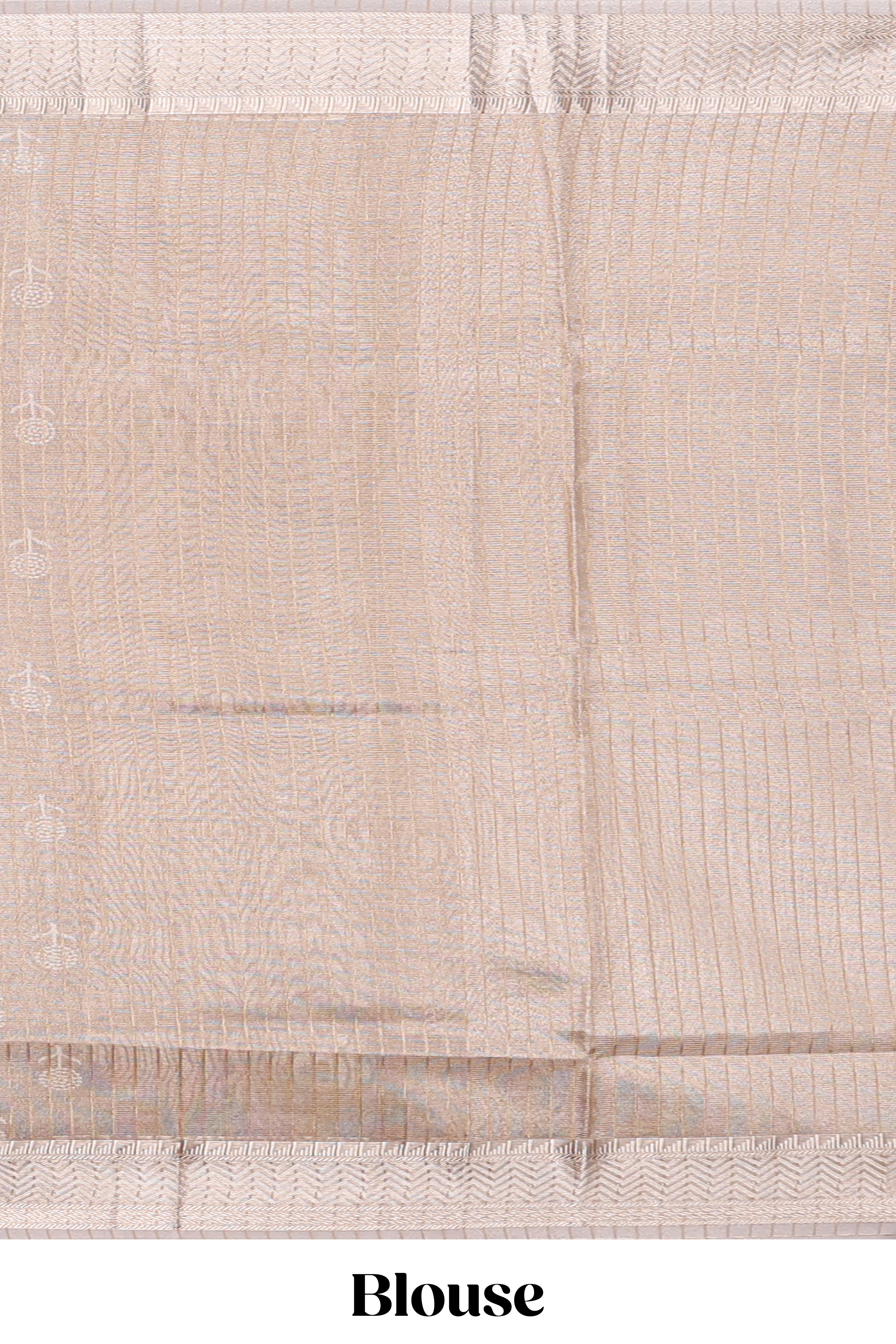 Beige floral butta art tissue saree with with self zari border and plain blouse
