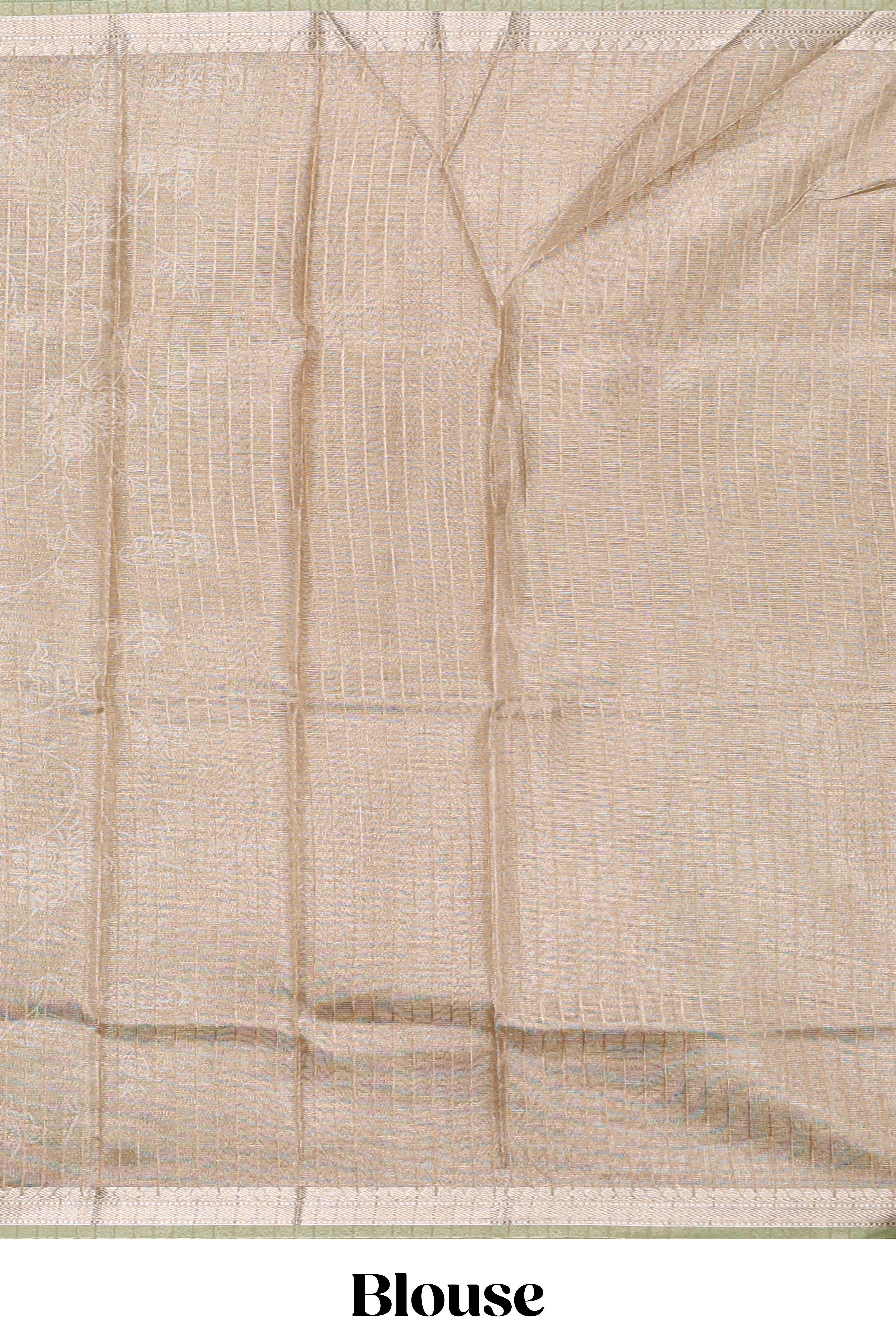 Pale green floral design art tissue saree with self zari border and plain blouse