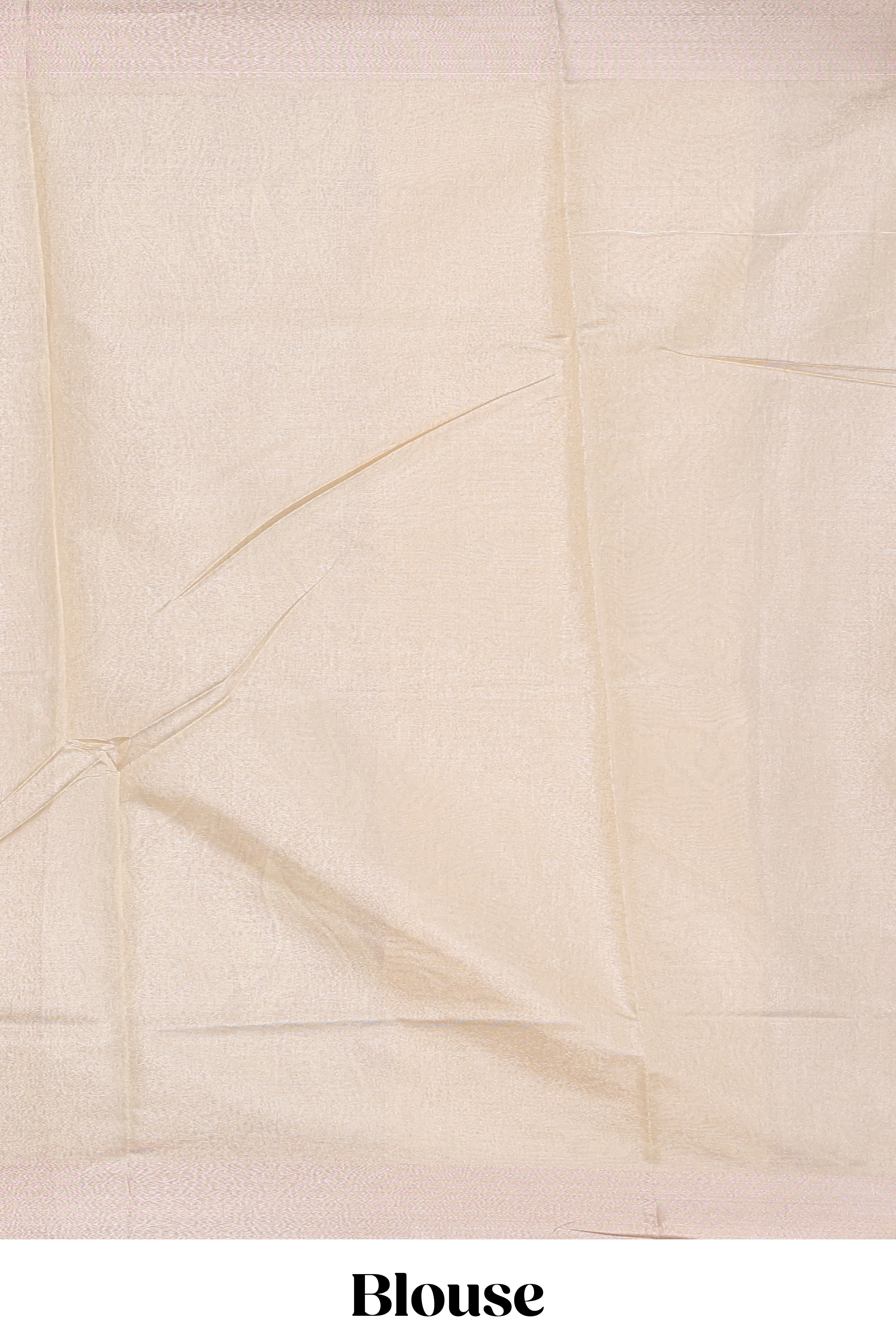 Ivory leaf patterned zari design art tissue saree with zari border and plain blouse