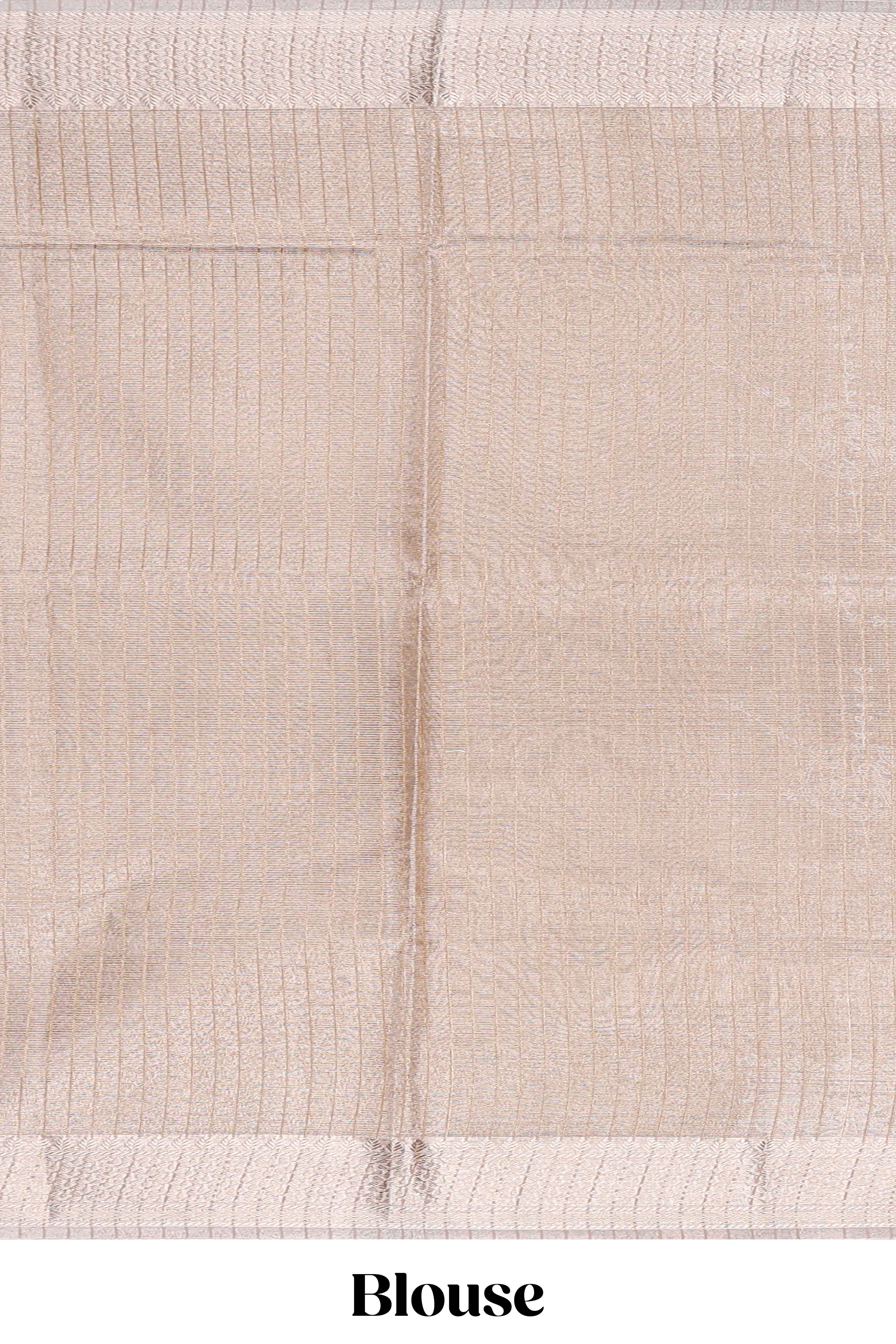 Almond beige Floral vine and ornamental motifs art tissue saree with self zari border and Matching blouse