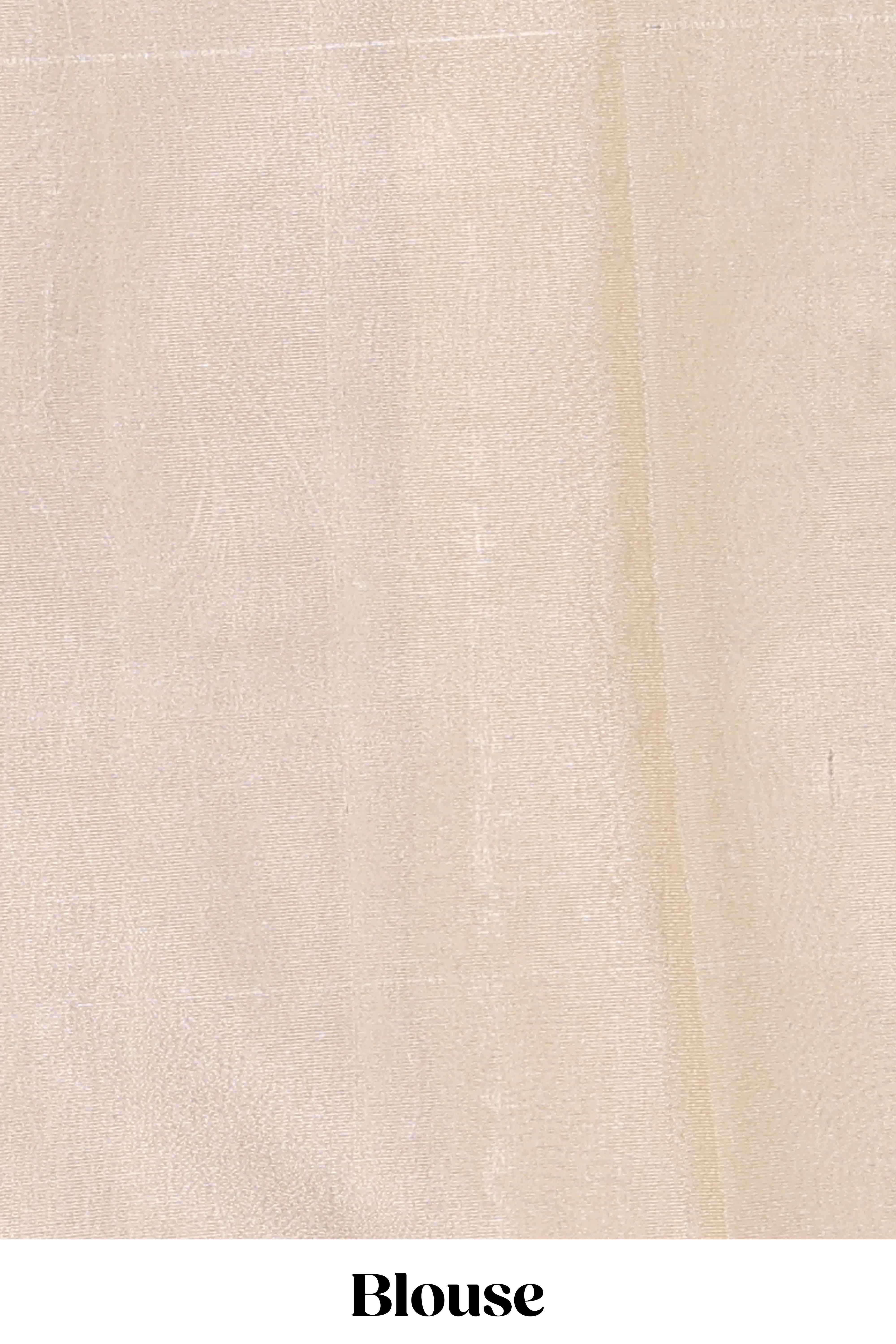 Pearl Ivory flowing leaf and wavy vine pattern art tissue saree with self zari border and contrastr blouse