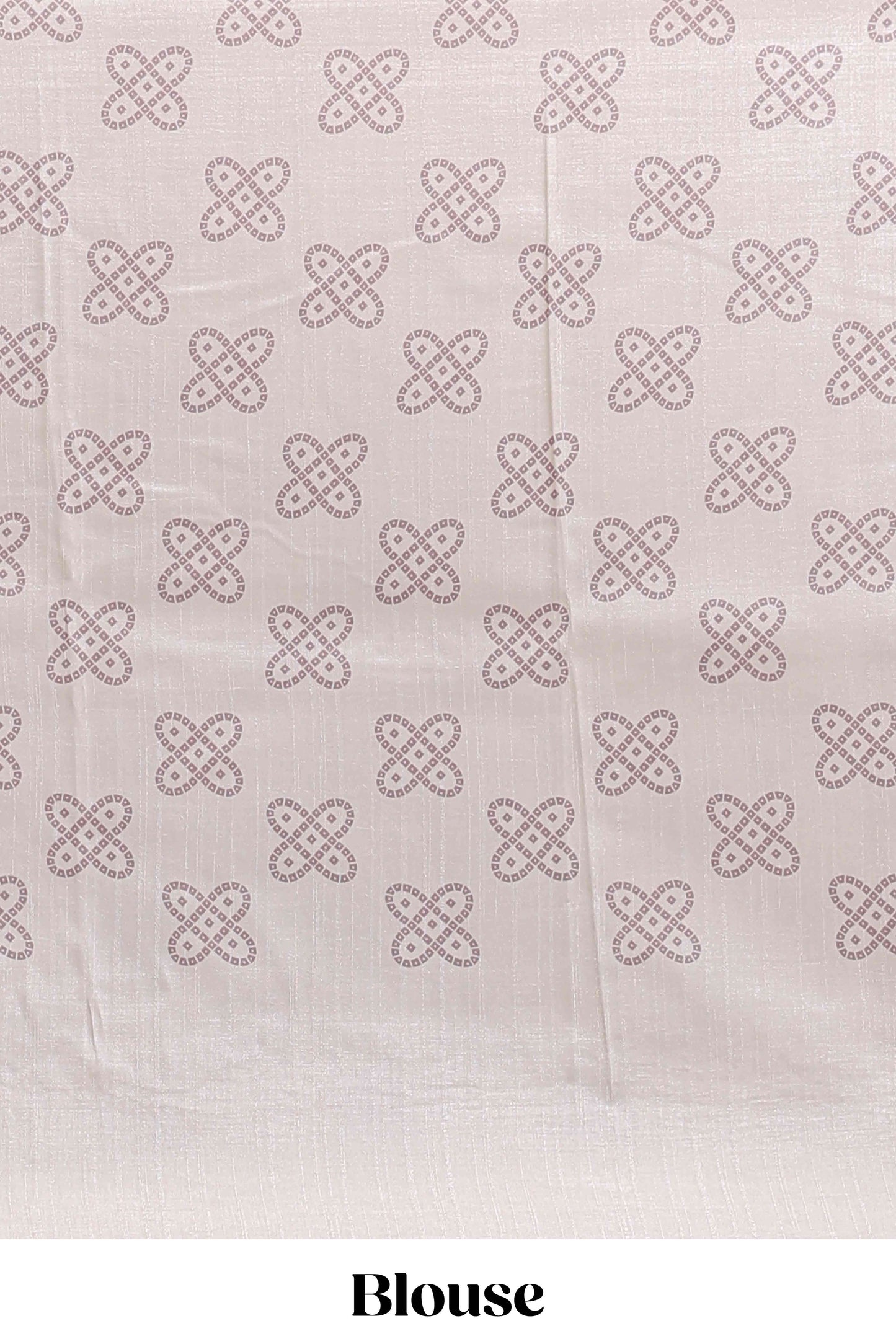 Cream striped tussar saree with contrast border and matching printed blouse