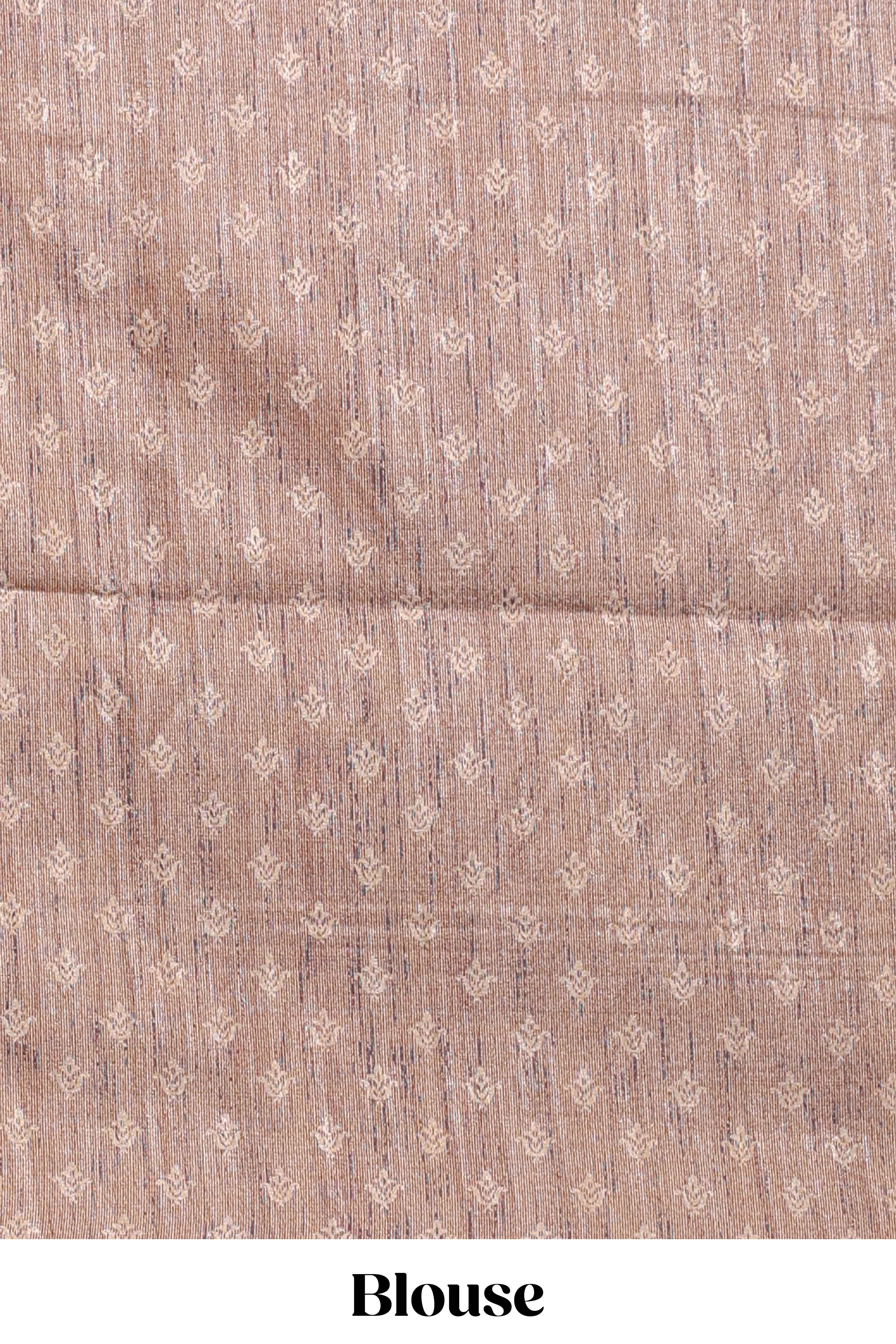 Champagne Beige shade semi tussar saree all hand work embroidery with contrast border and contrast printed printed pallu