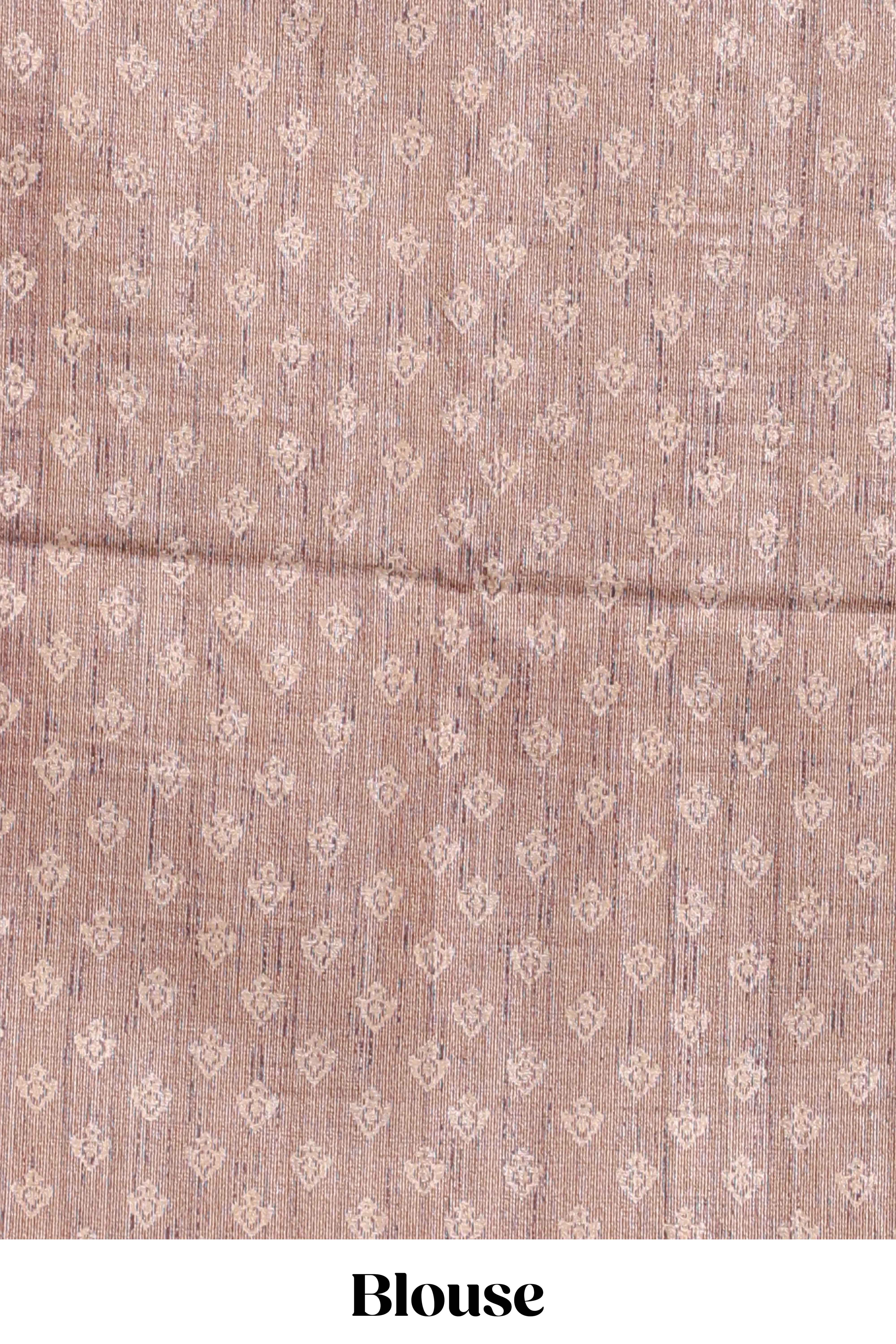 Powder green shade semi tussar saree all hand work embroidery with contrast border and contrast printed printed pallu