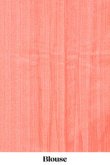 Orange saree with Coordinated blouse styling