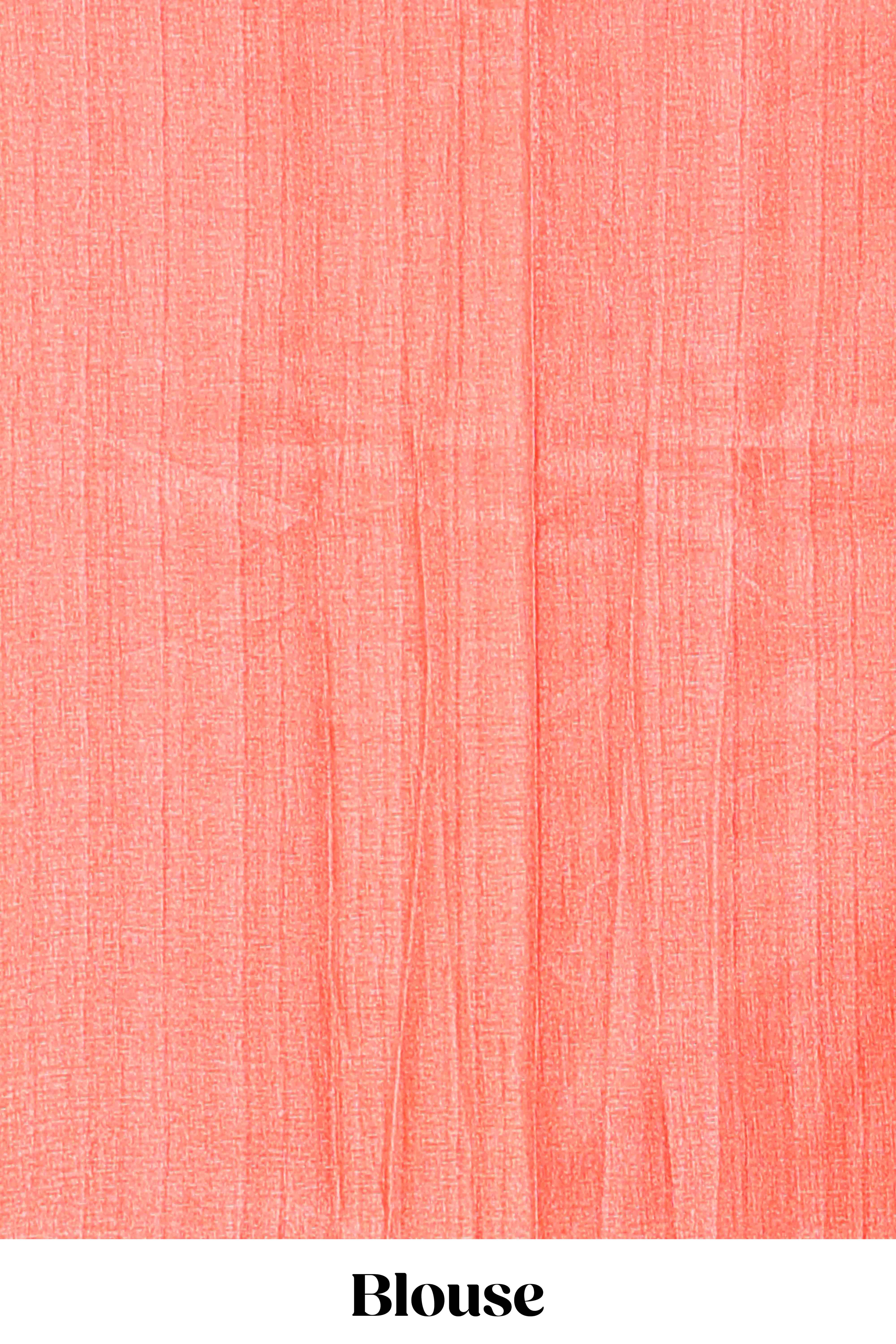 Orange saree with Coordinated blouse styling