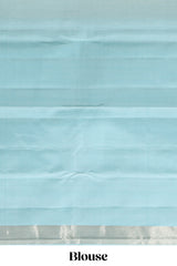 Borderless multi color parambariya pattu saree with contrast zari striped pallu and blouse