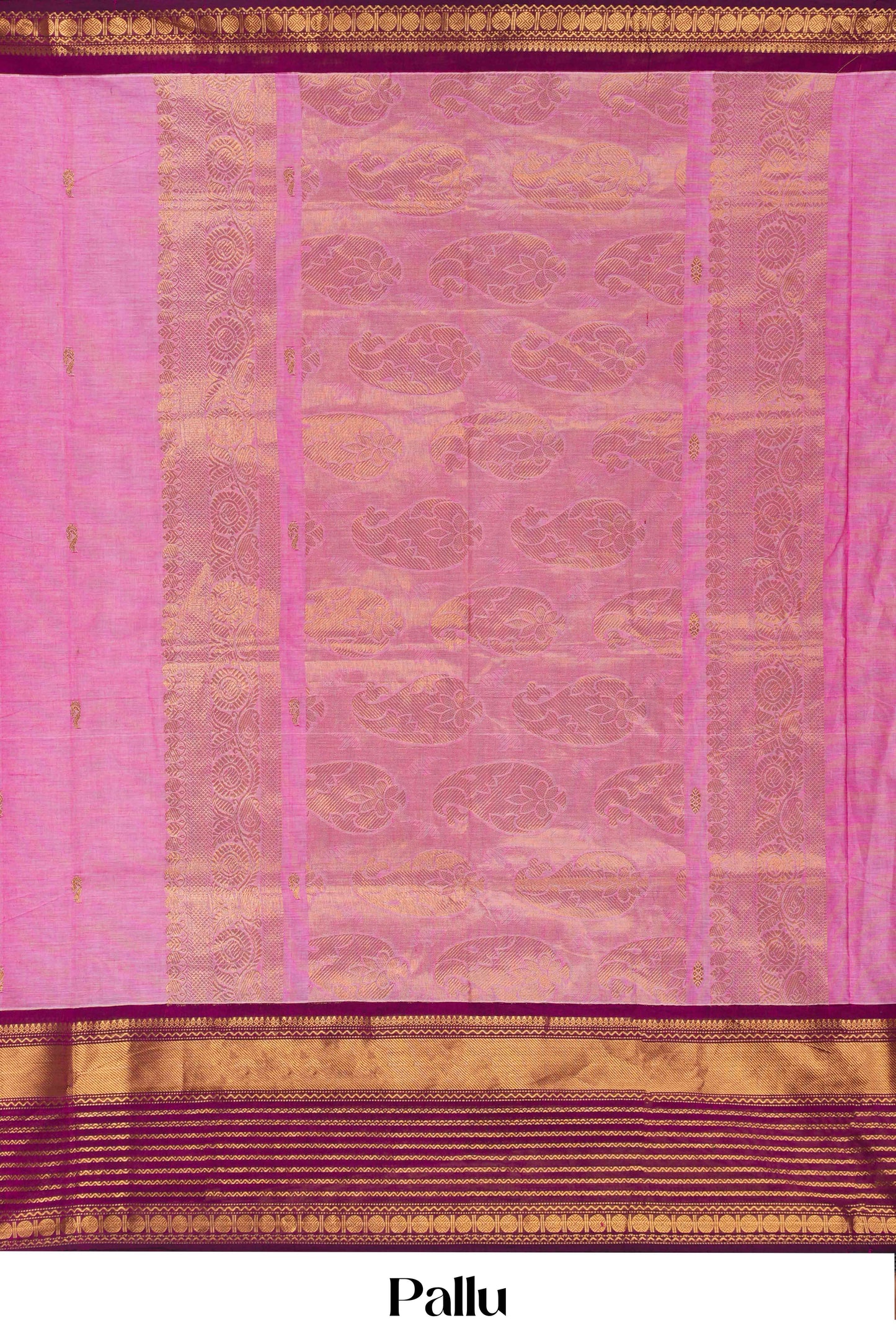 Pink magenta contrast border saree