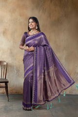 Shiny festive saree