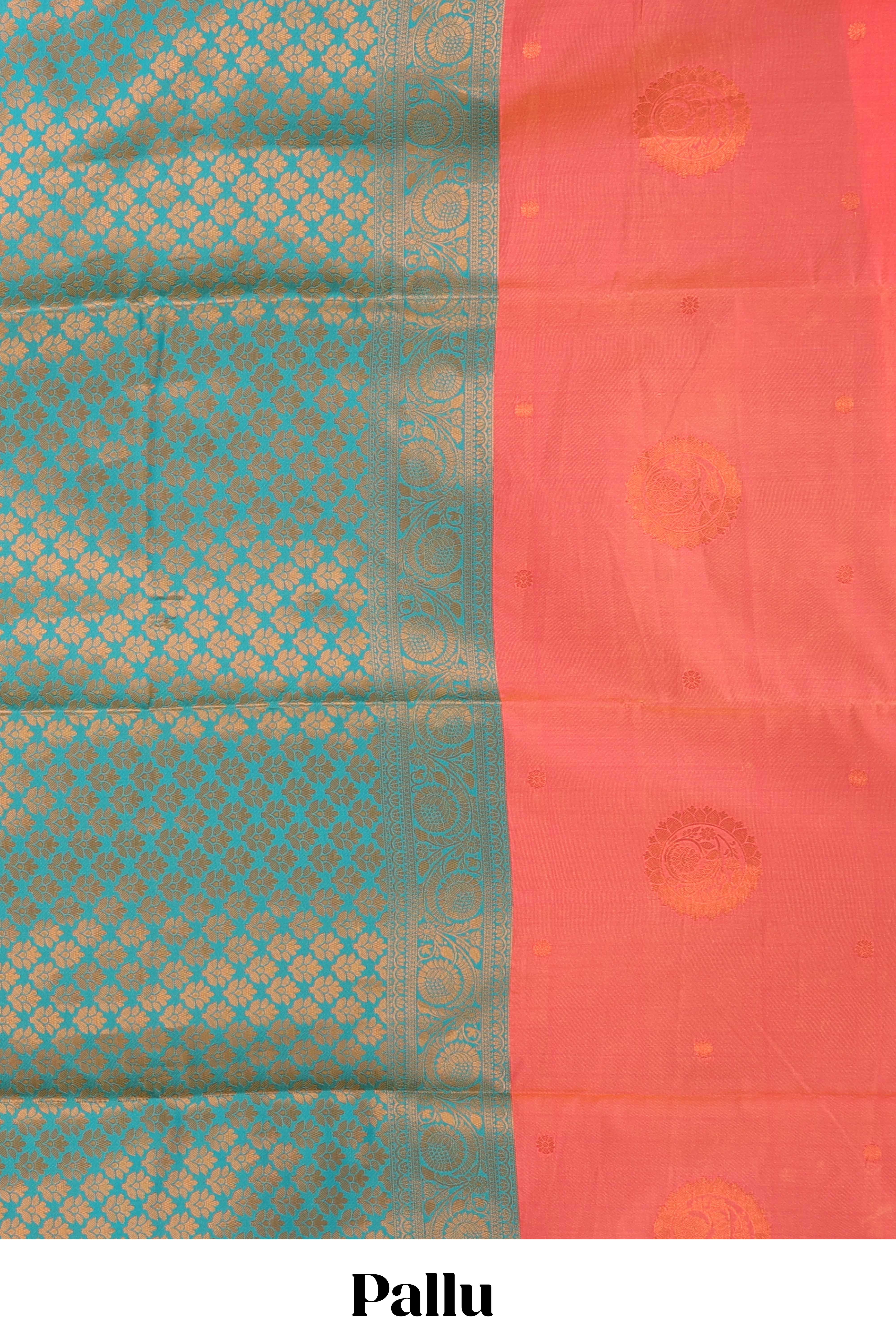 Vibrant elegance pallu